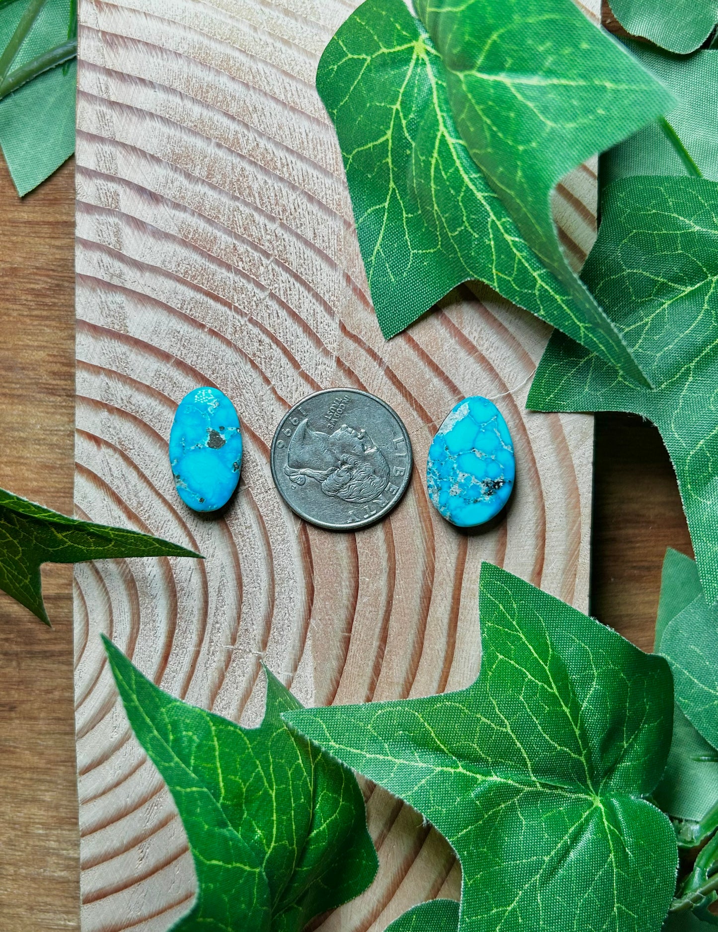 Blue Bird Turquoise Cabs
