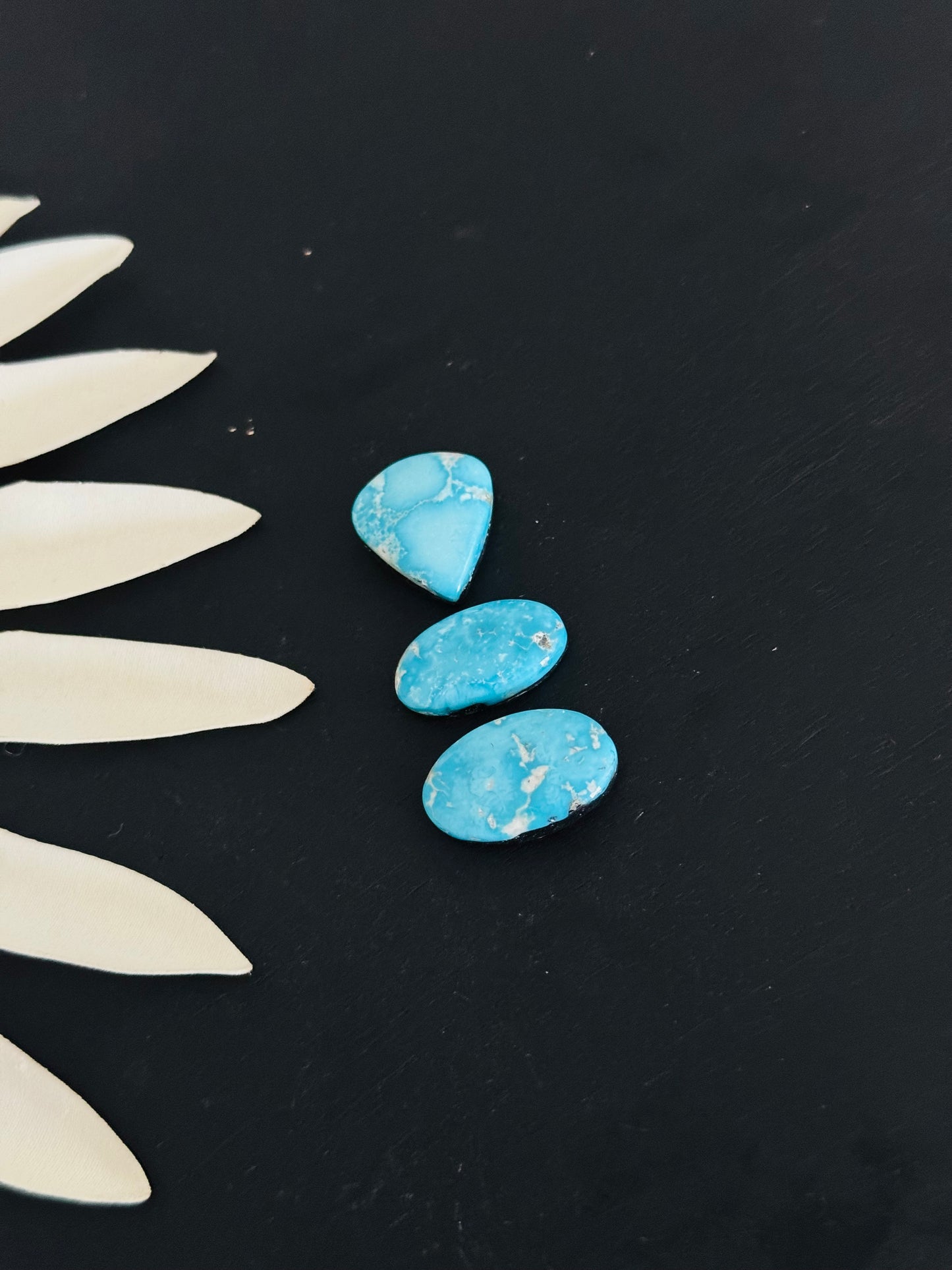 Blue Bird Turquoise Cabs