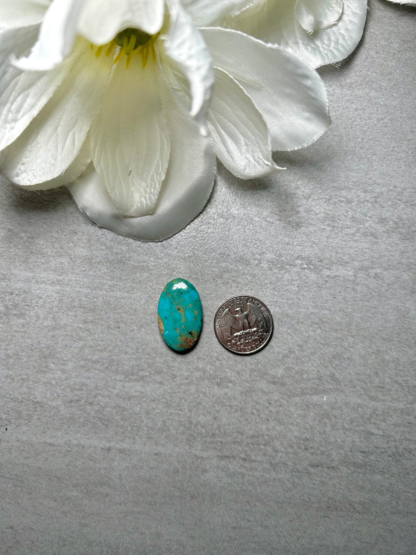 Kingman Turquoise Cab