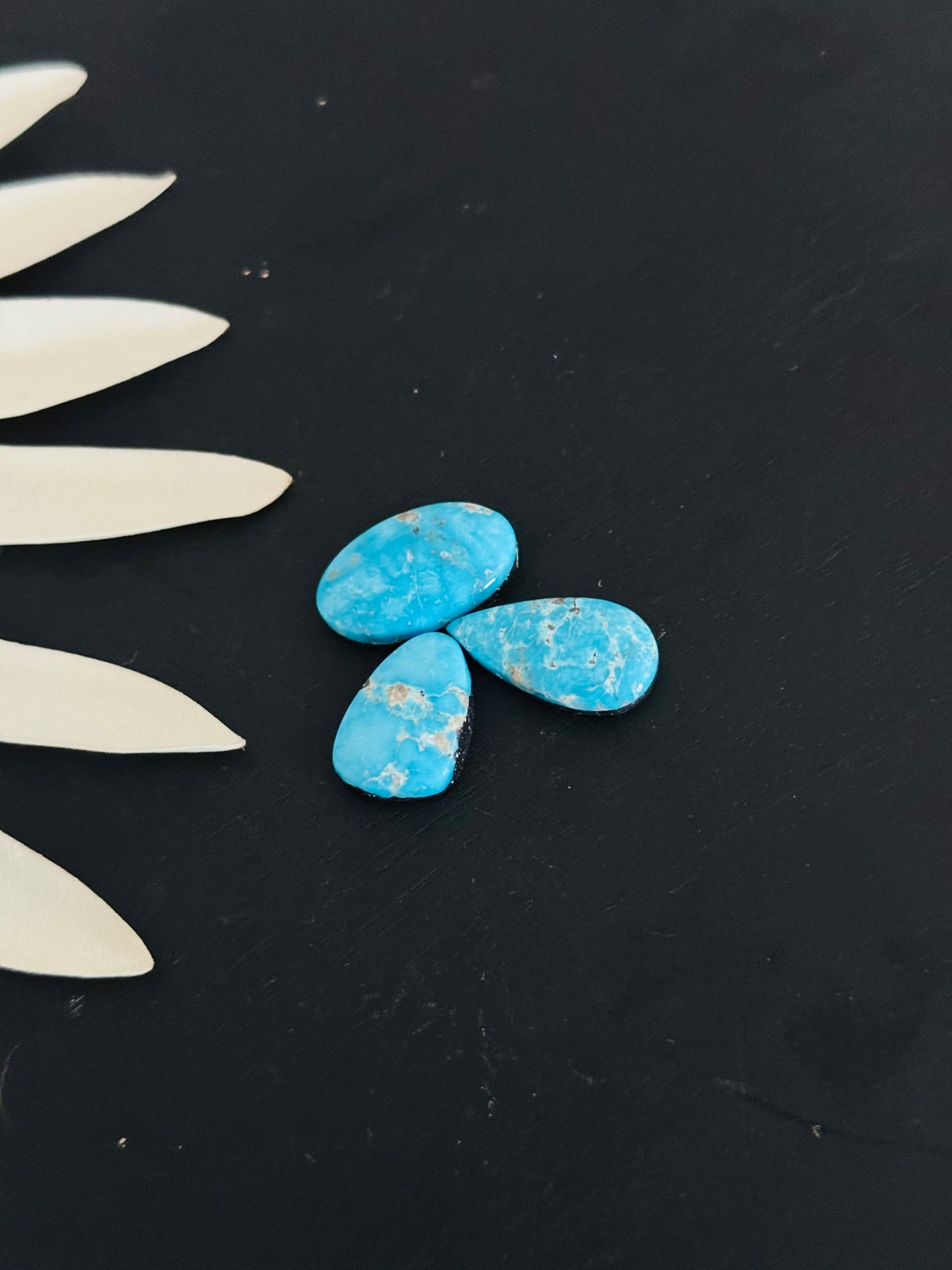 Blue Bird Turquoise Cabs