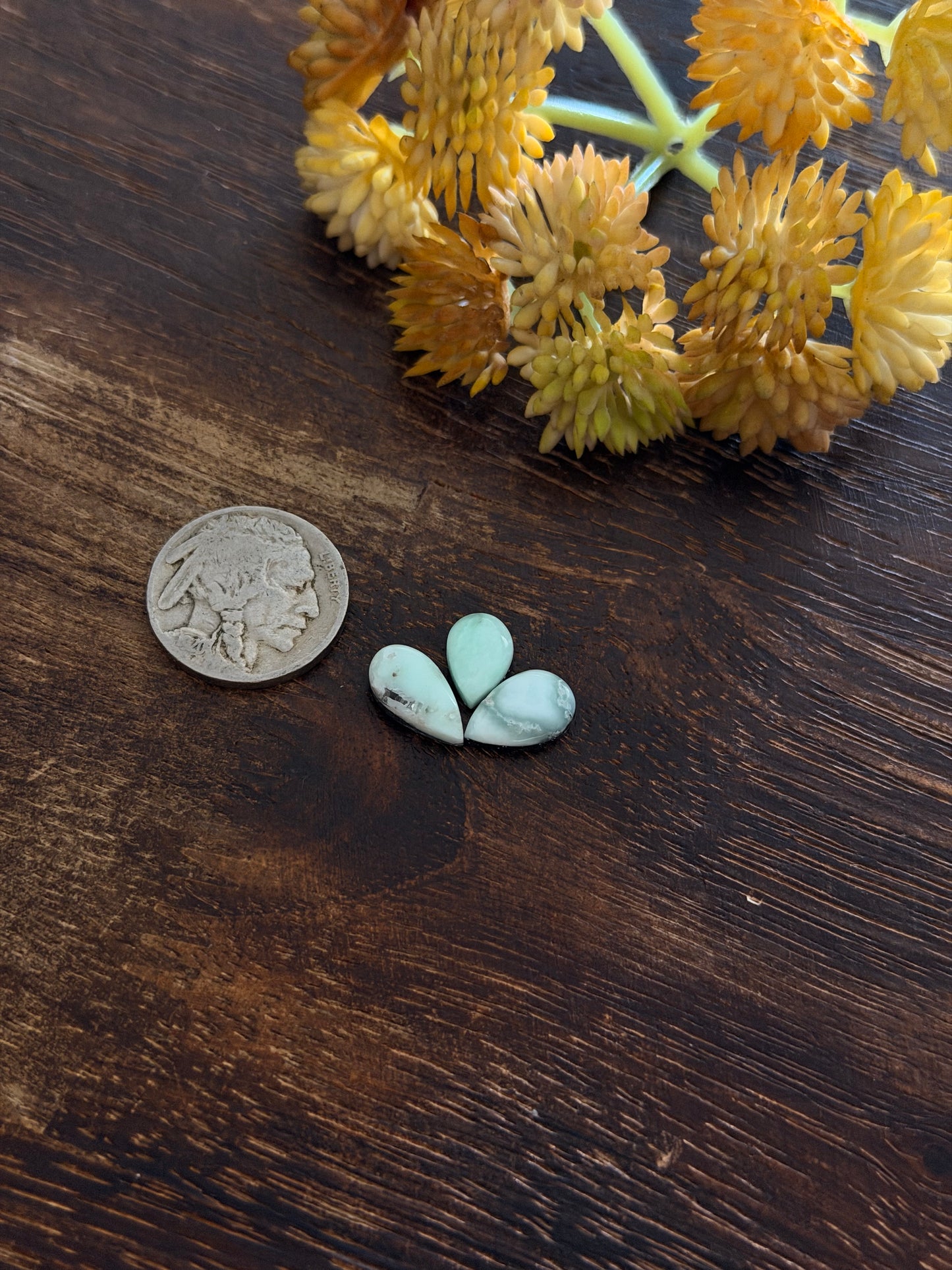 Paloma Variscite Cabs