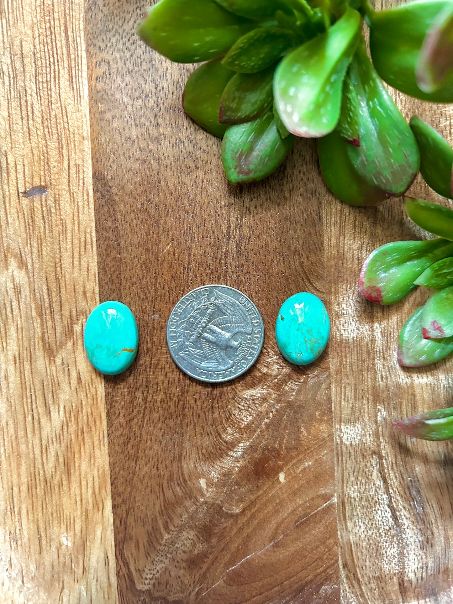 Kingman Turquoise Cabs