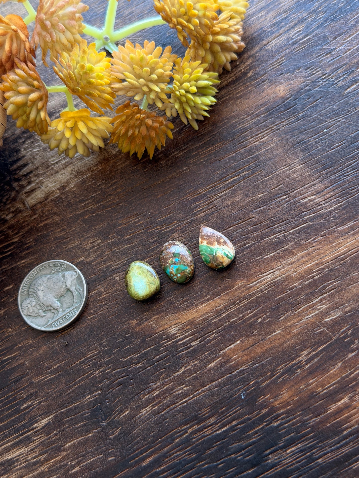 Sonoran Mountain Turquoise Cabs