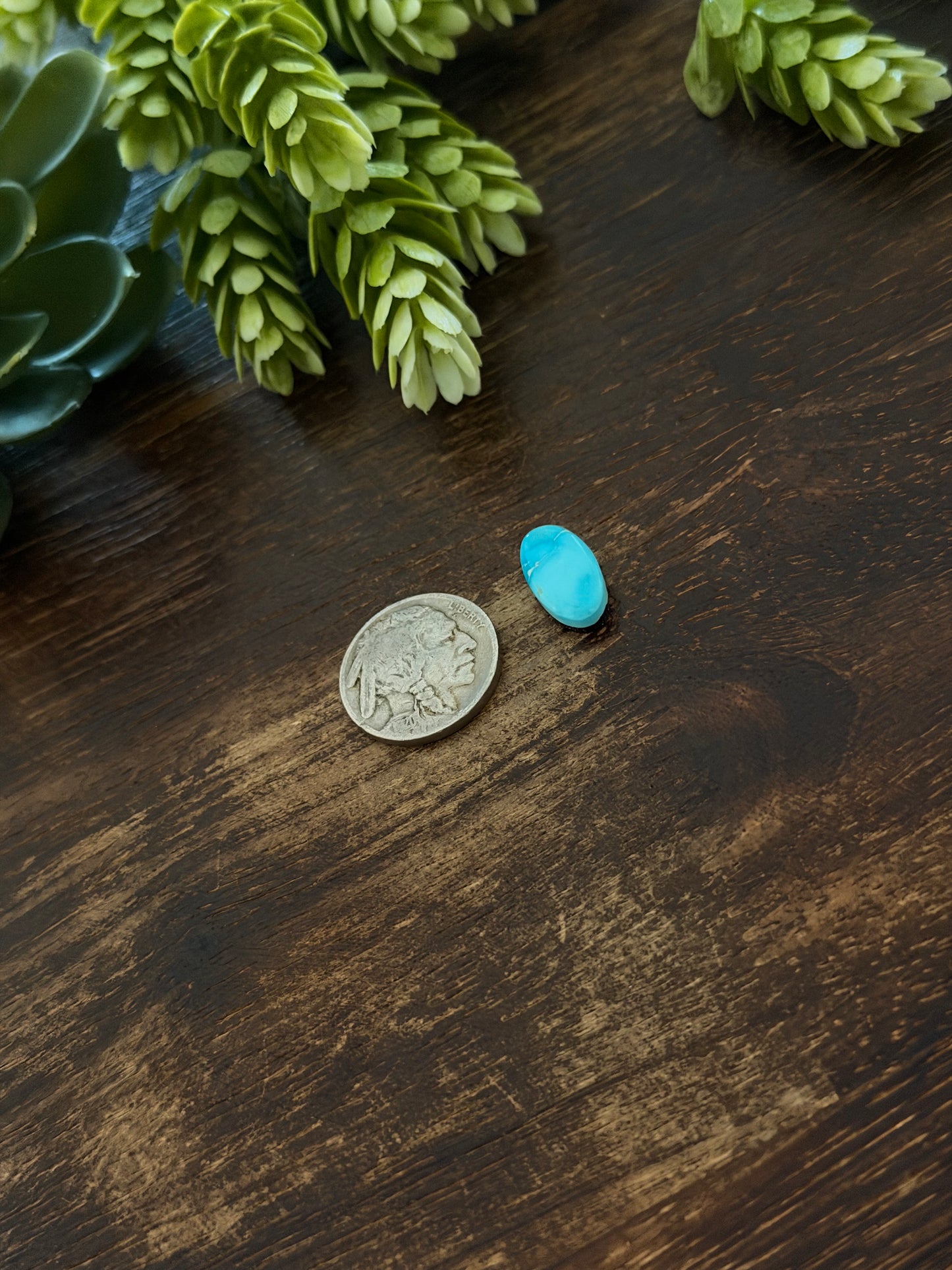 Blue Bird Turquoise Cab