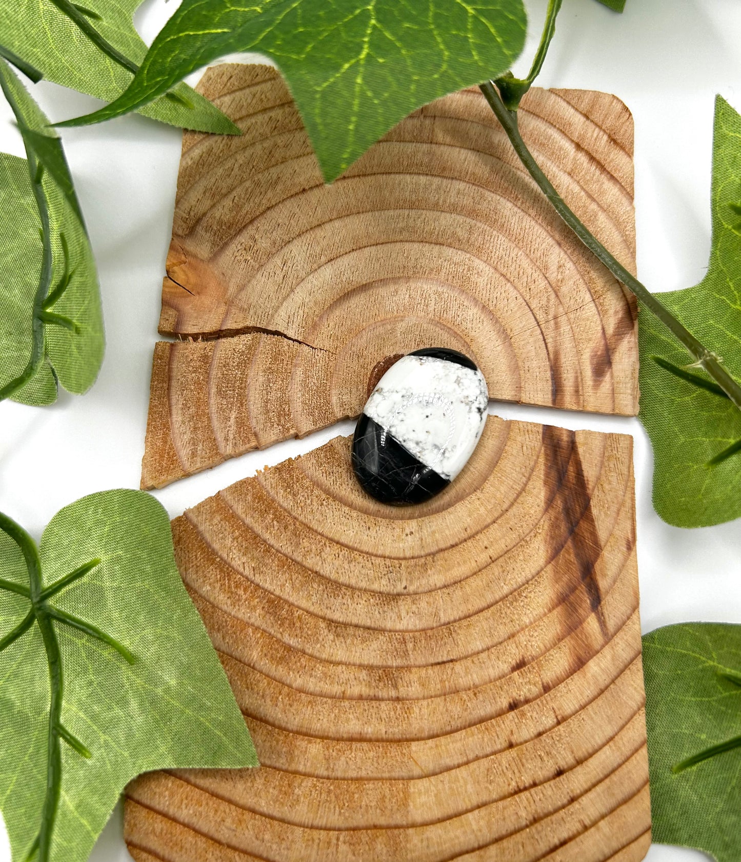 White Buffalo Cabs