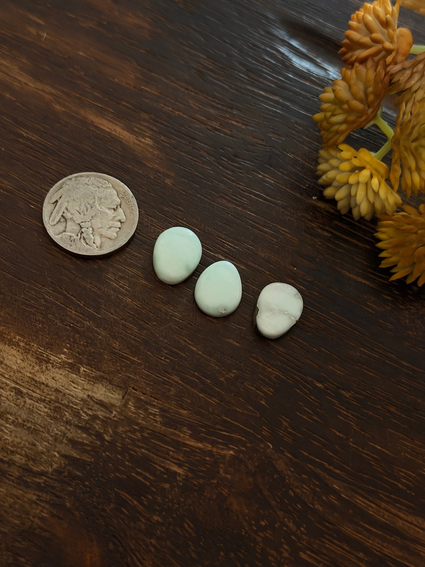 Paloma Variscite Cabs