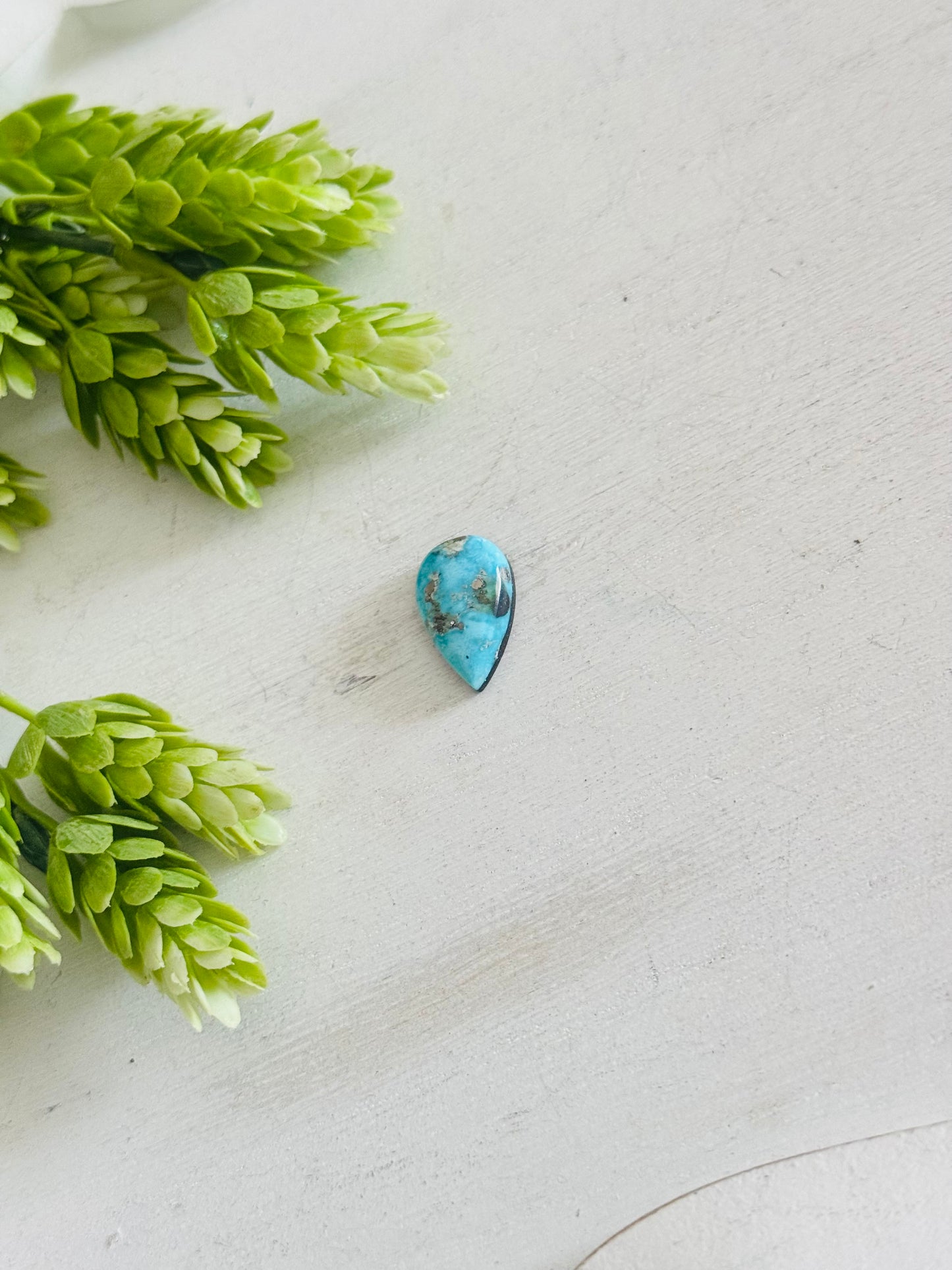 Blue Bird Turquoise Cab