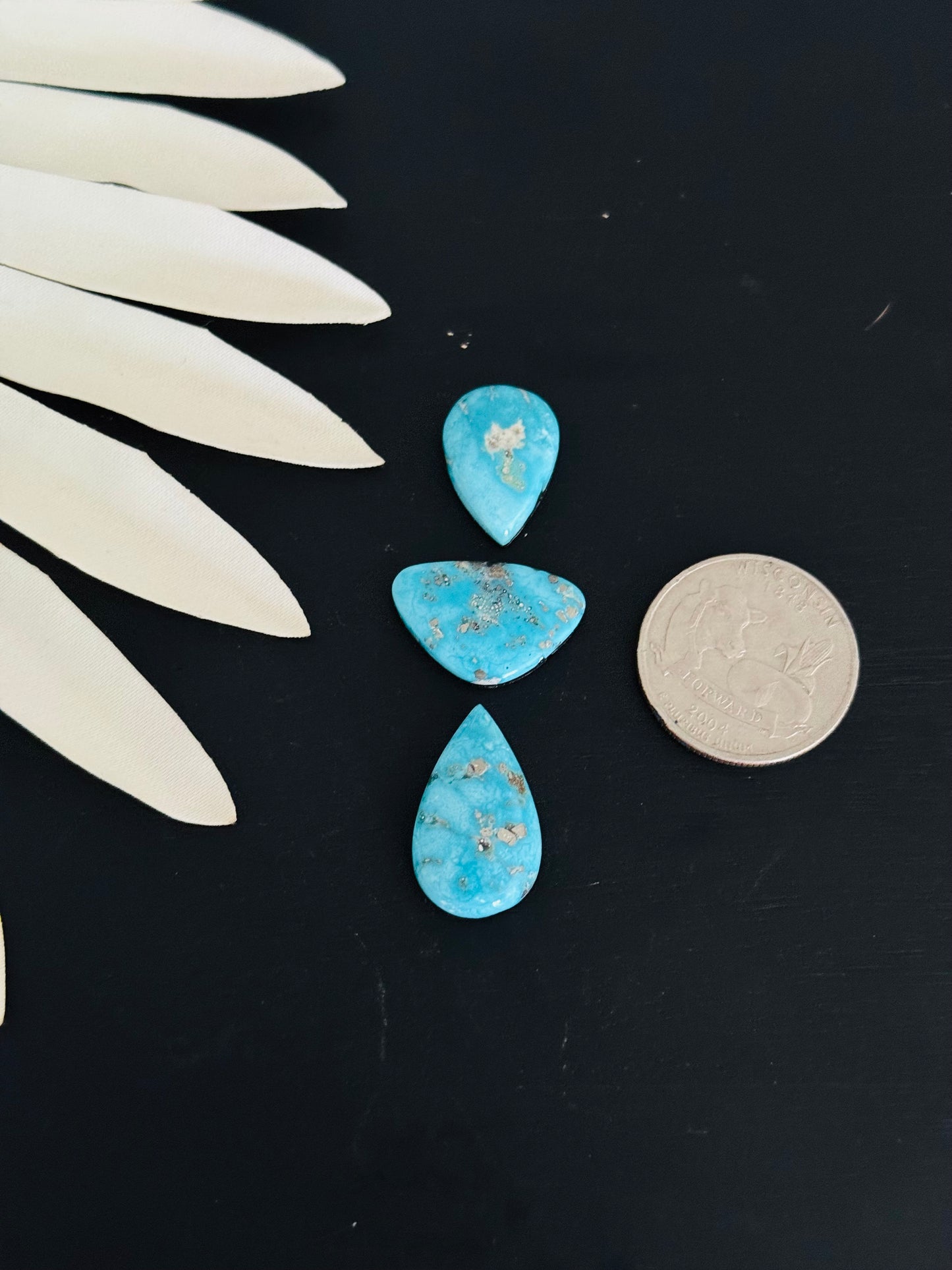 Blue Bird Turquoise Cabs