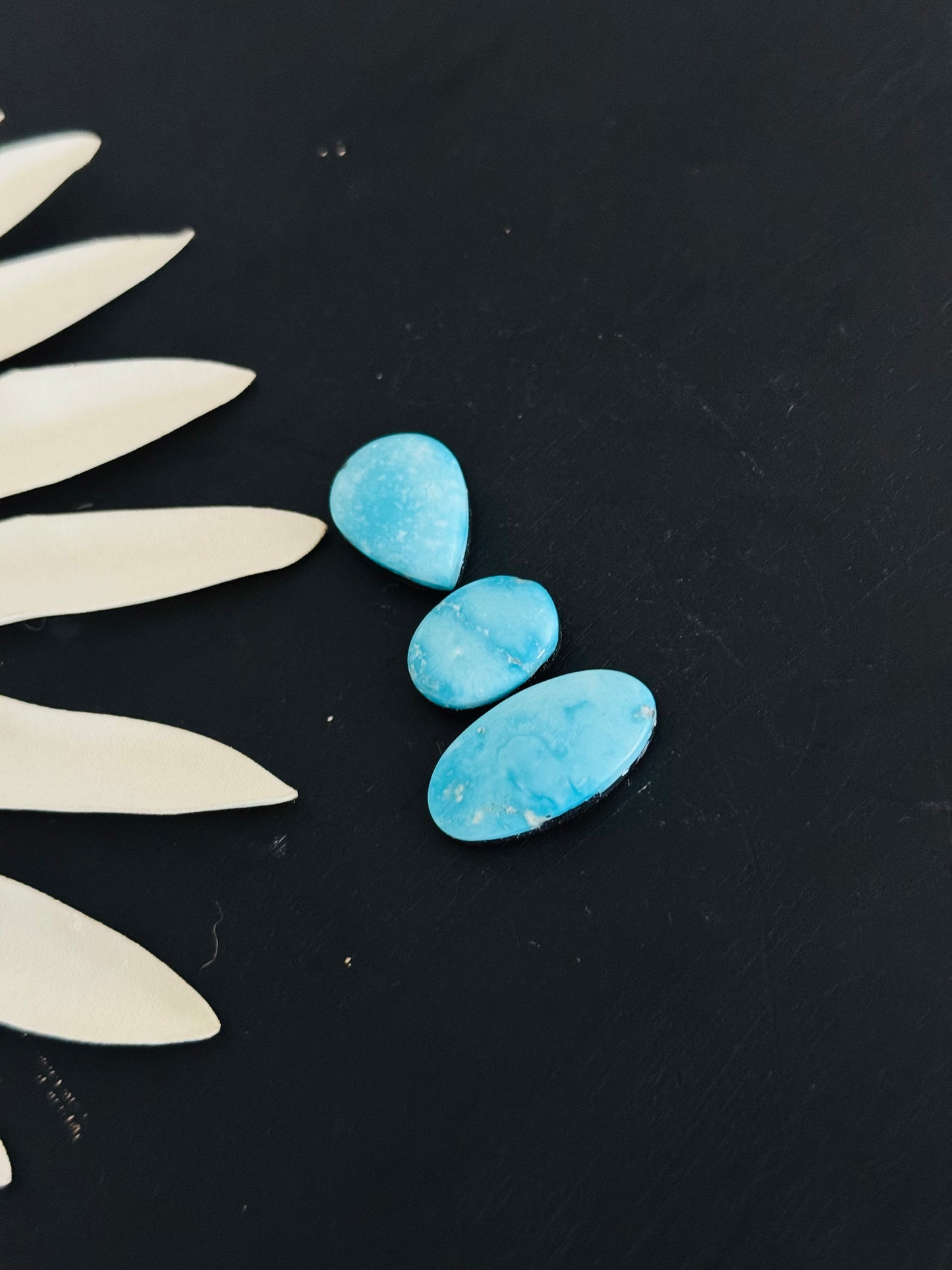 Blue Bird Turquoise Cabs