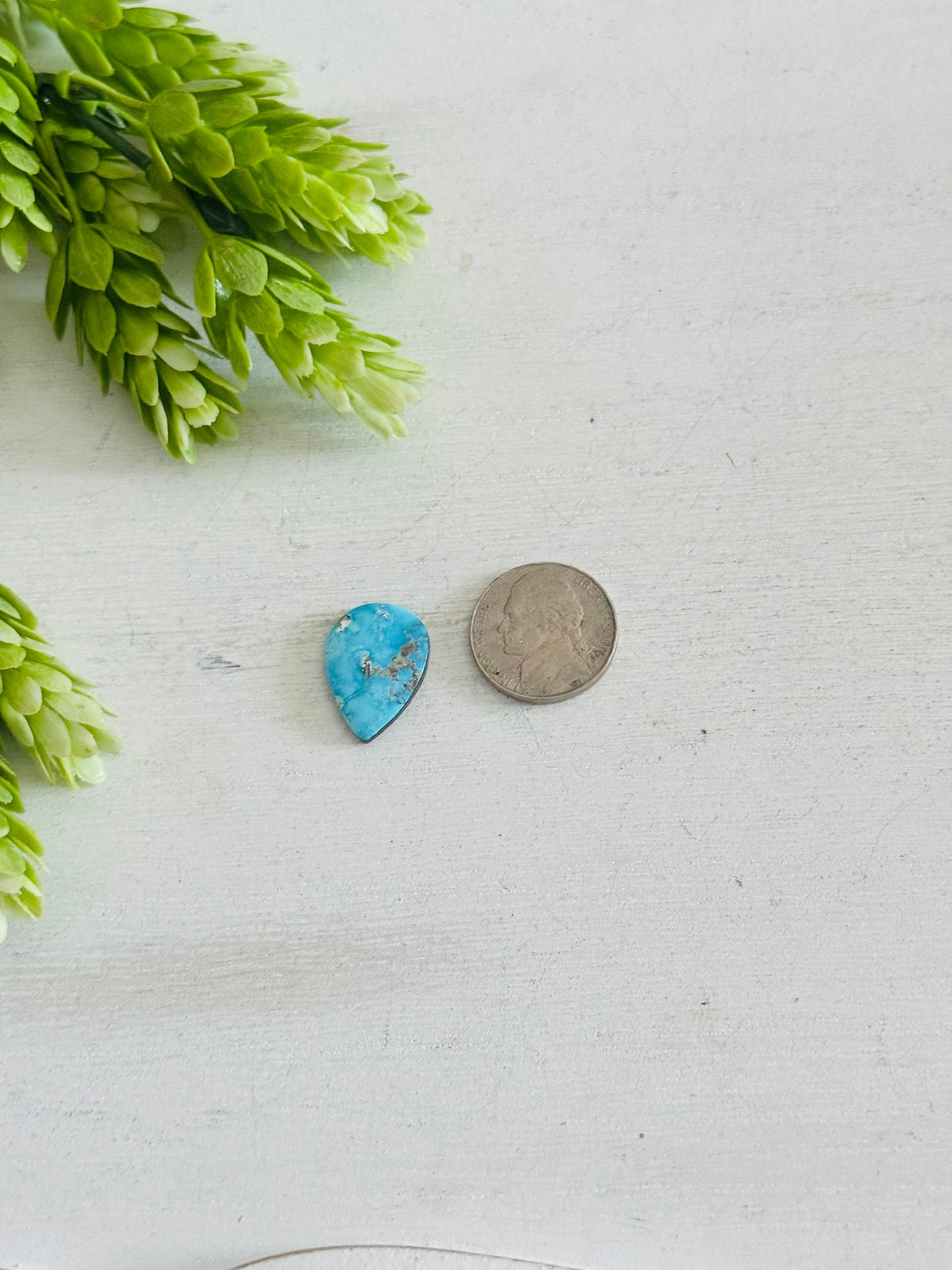 Blue Bird Turquoise Cab