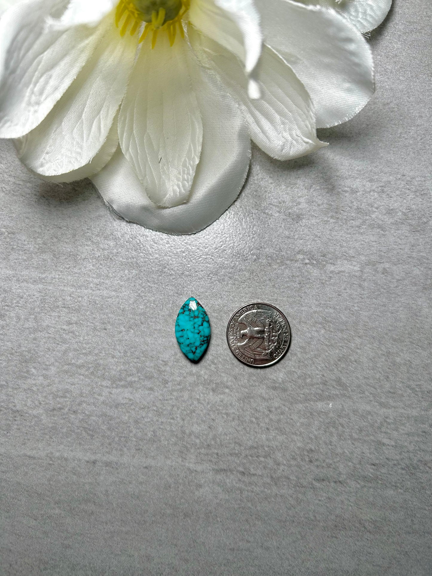 Kingman Turquoise Cab