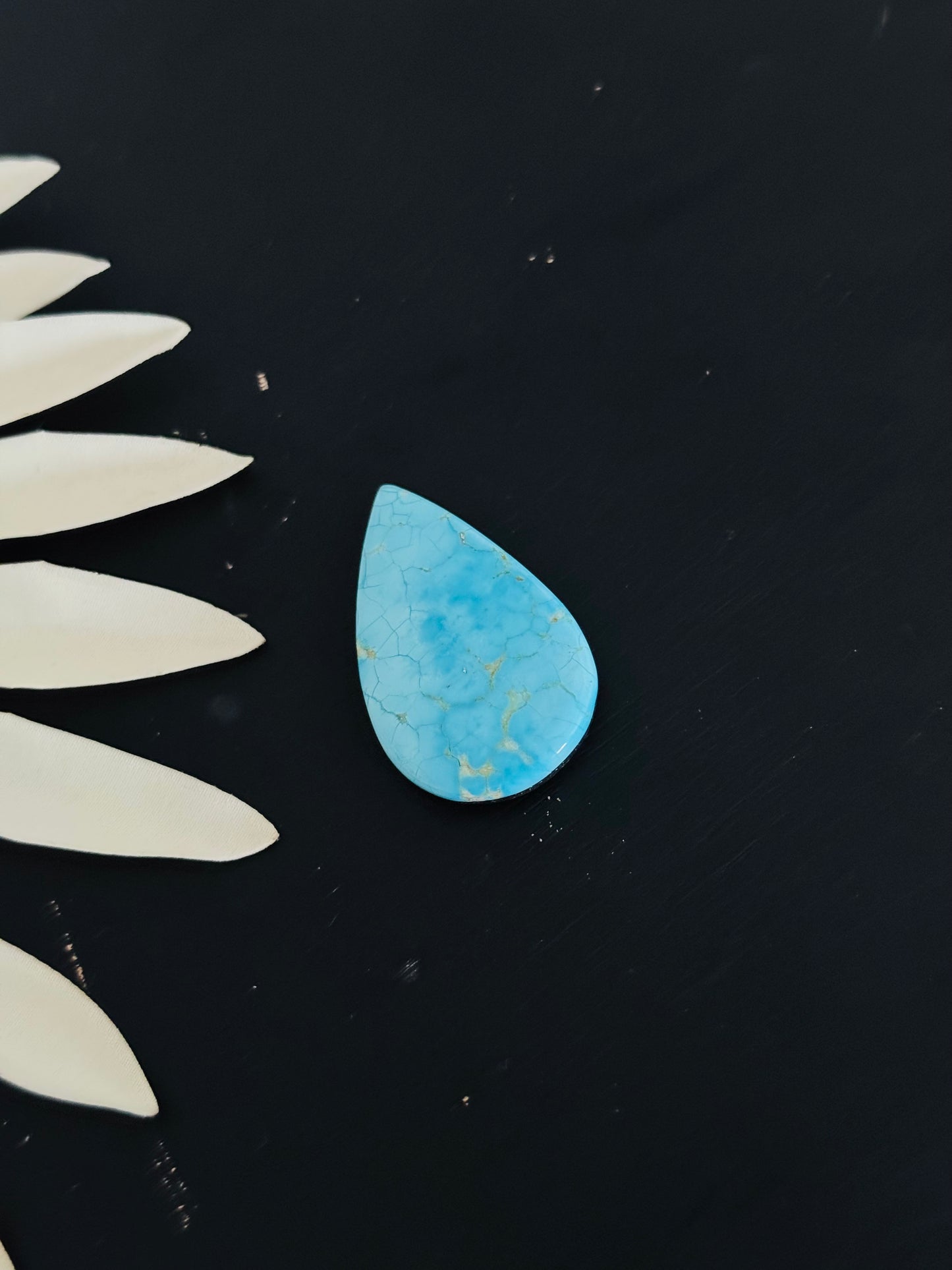 Blue Bird Turquoise Cabs