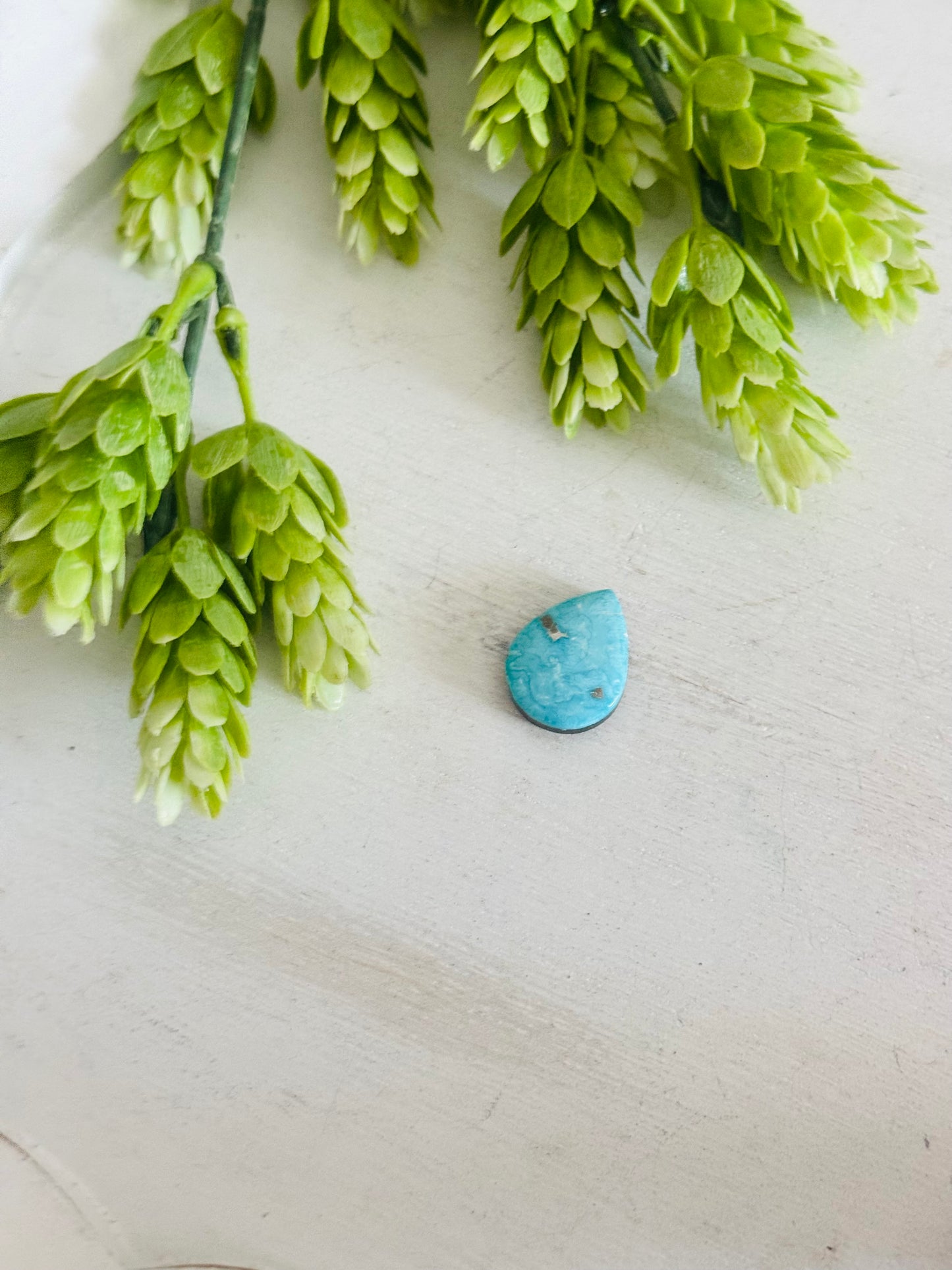 Blue Bird Turquoise Cab