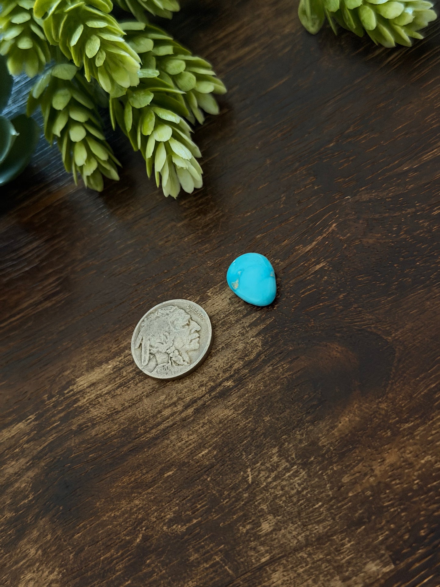 Blue Bird Turquoise Cab