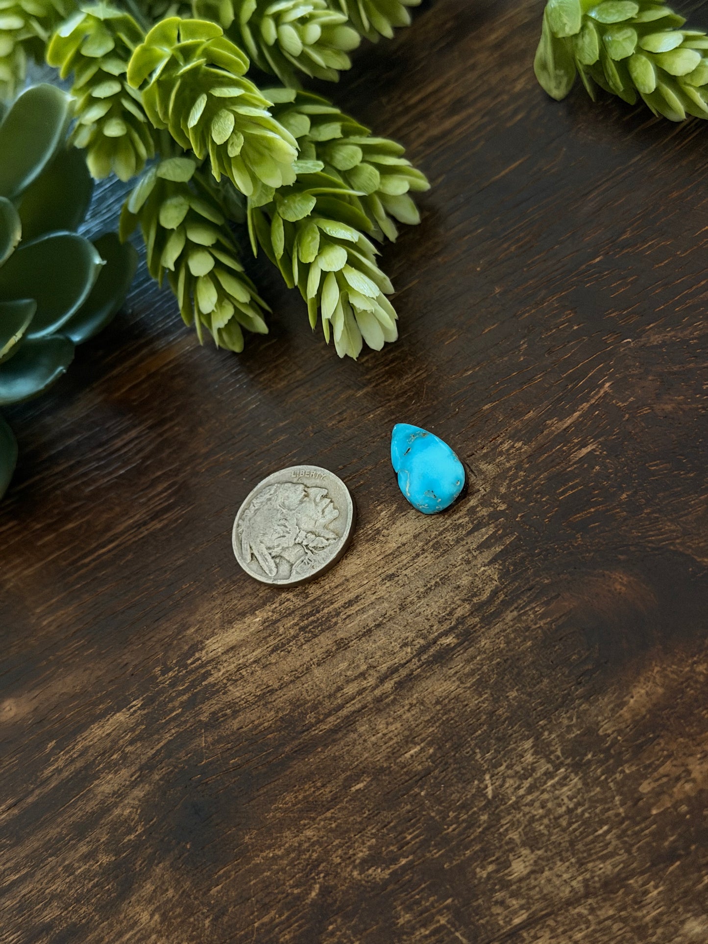 Blue Bird Turquoise Cab
