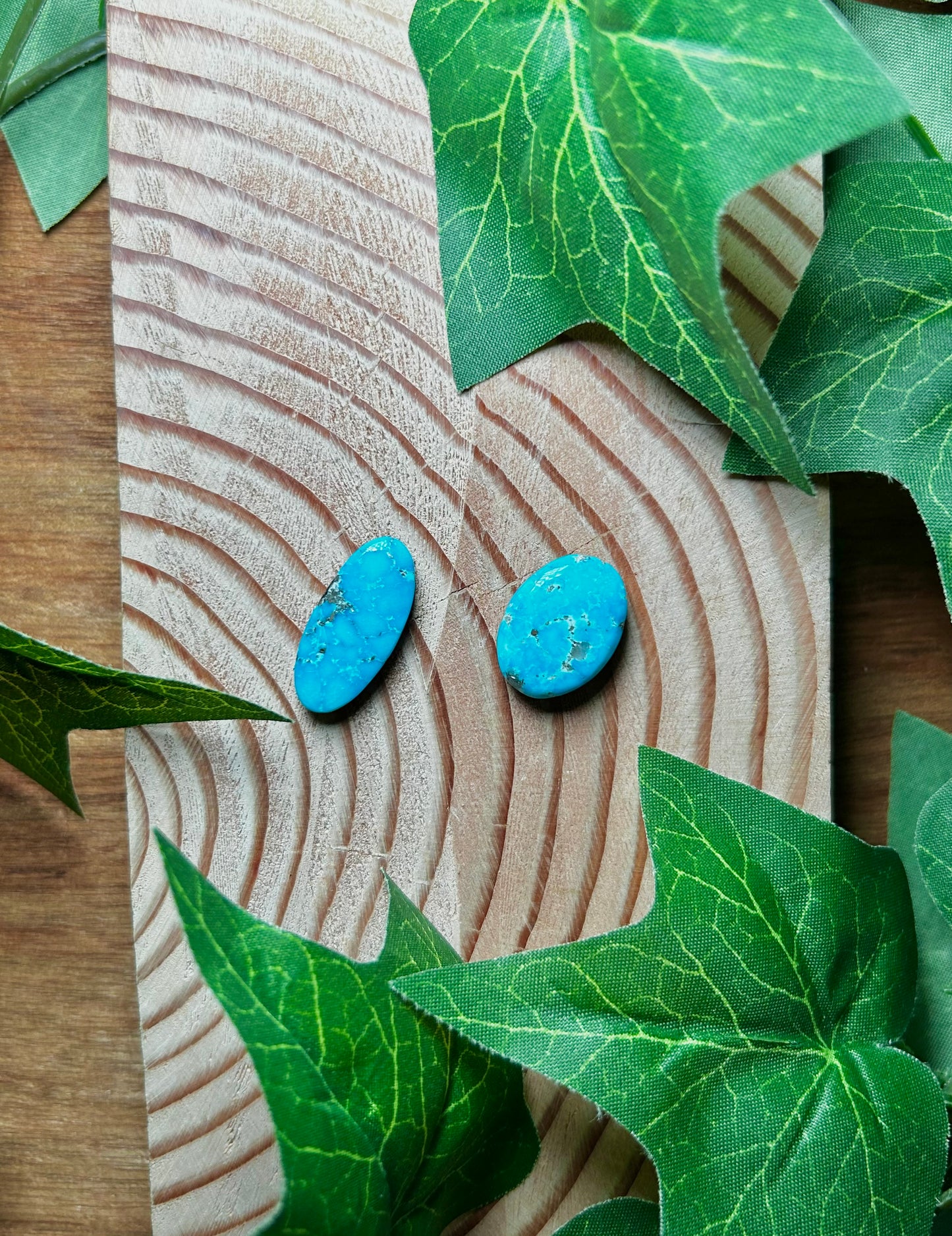 Blue Bird Turquoise Cabs