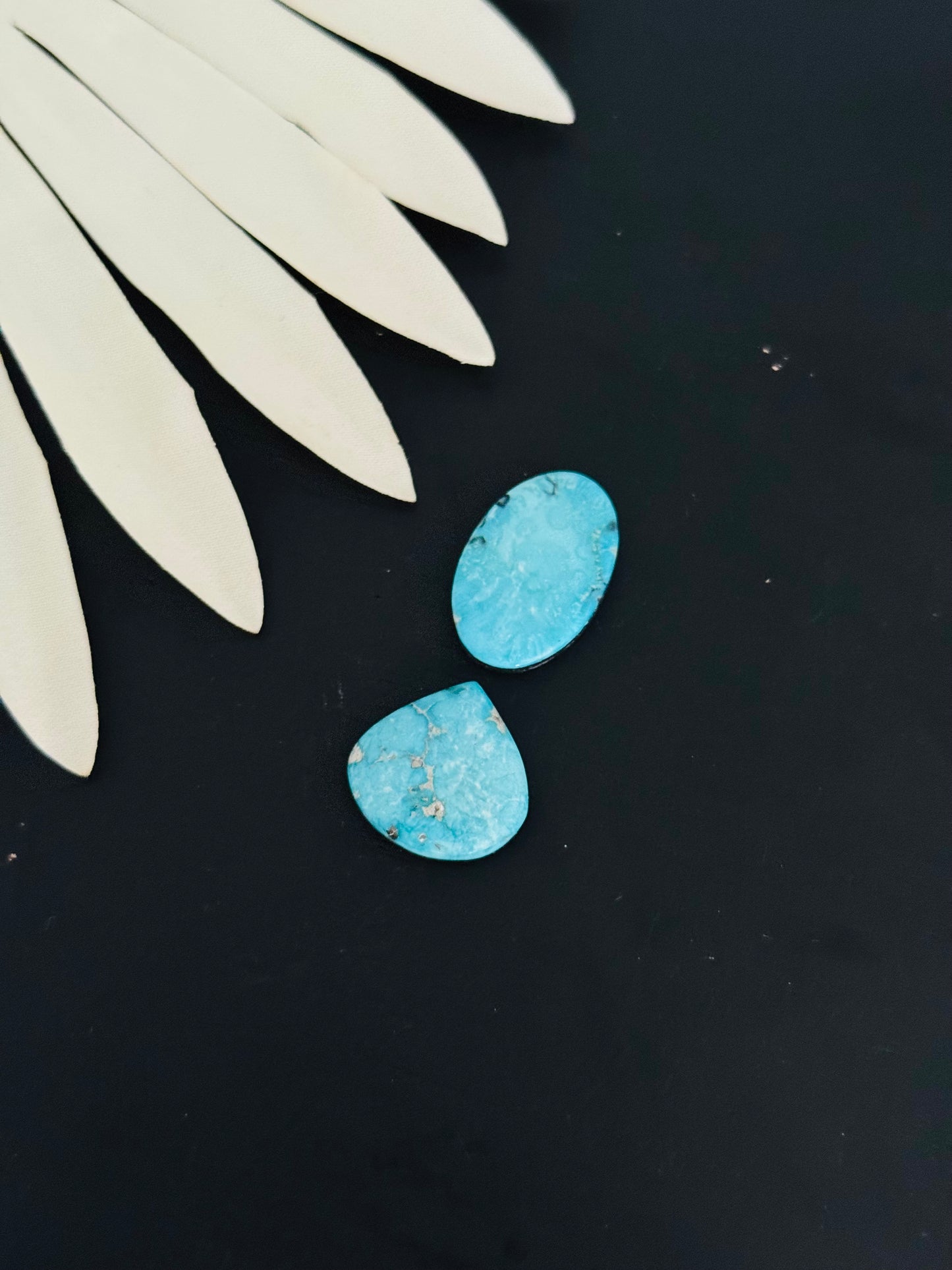 Blue Bird Turquoise Cabs