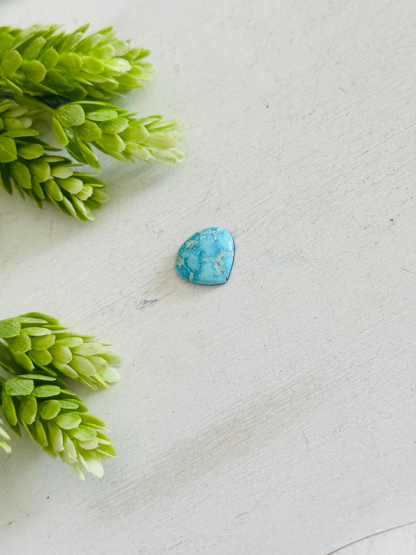 Blue Bird Turquoise Cab