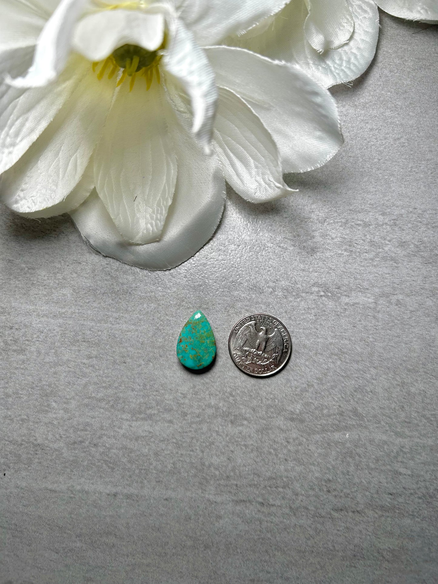 Kingman Turquoise Cab