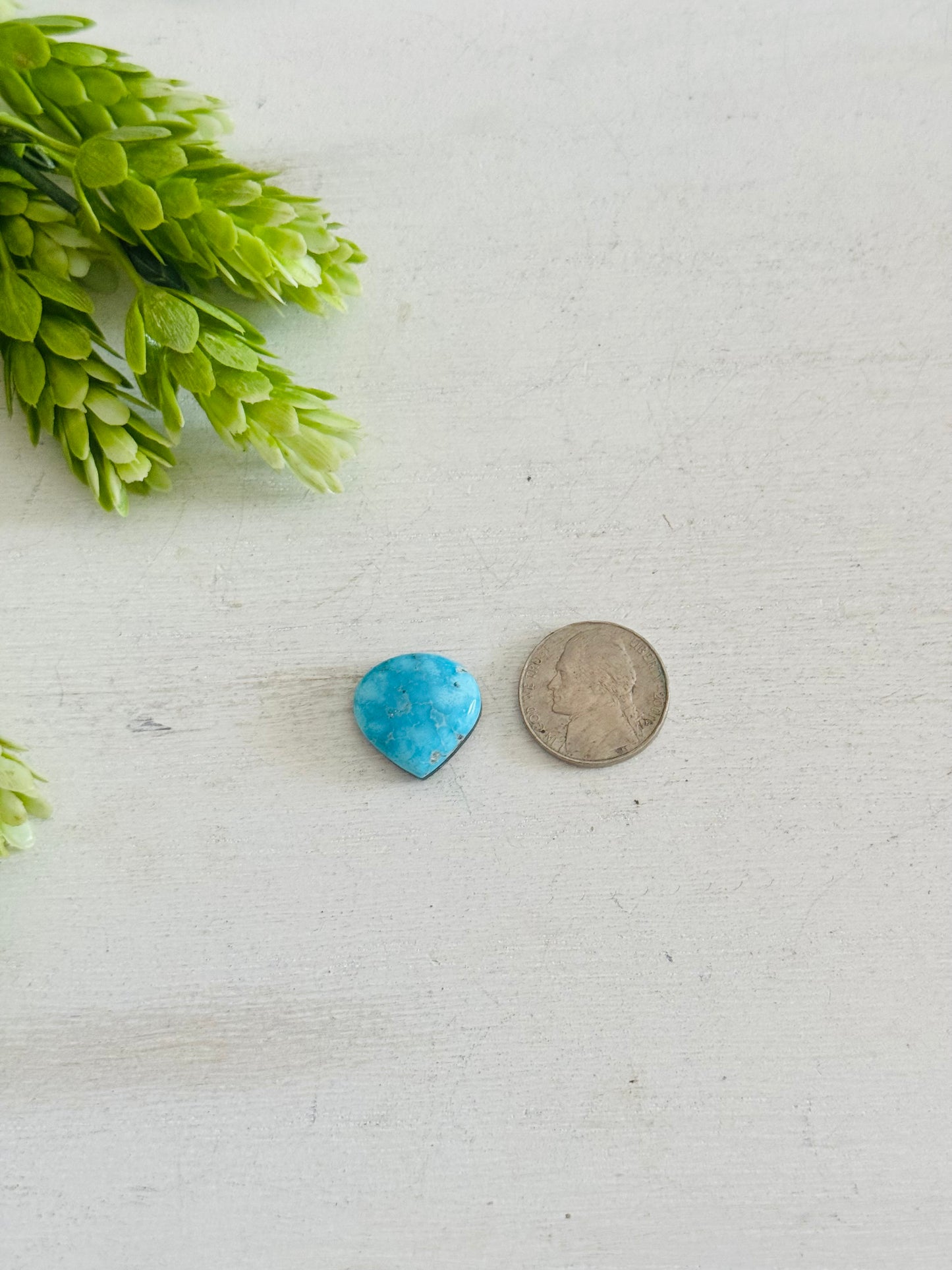 Blue Bird Turquoise Cab