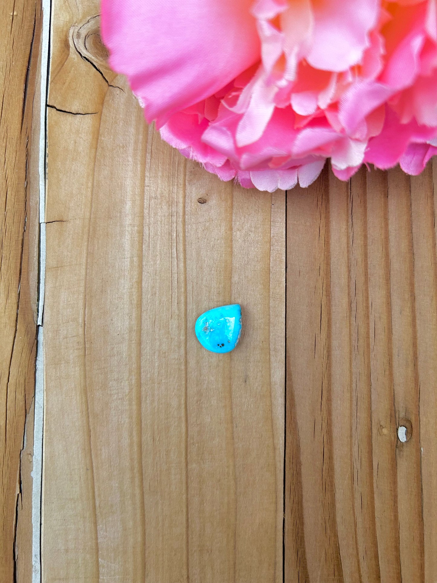 Blue Bird Turquoise Cabs