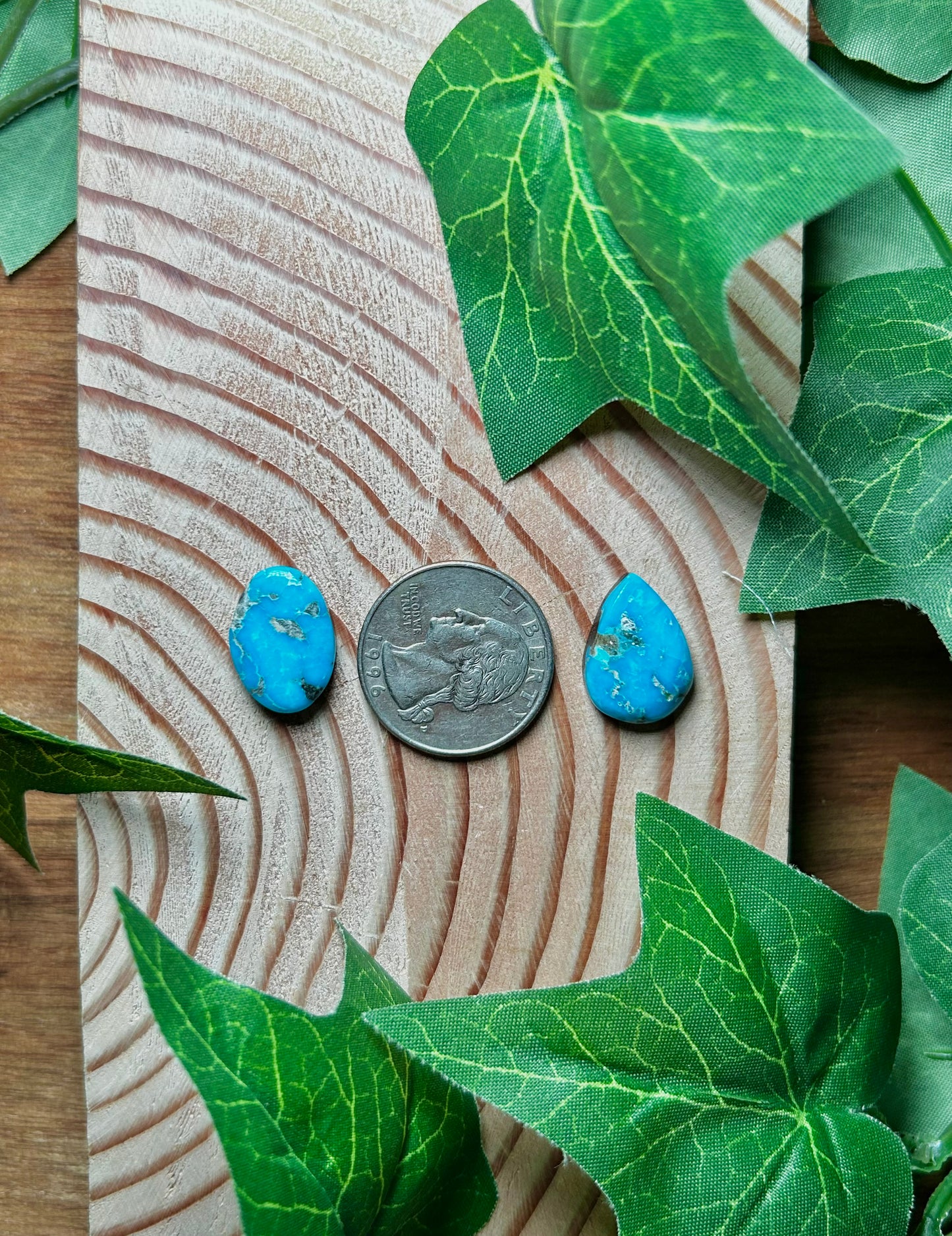 Blue Bird Turquoise Cabs