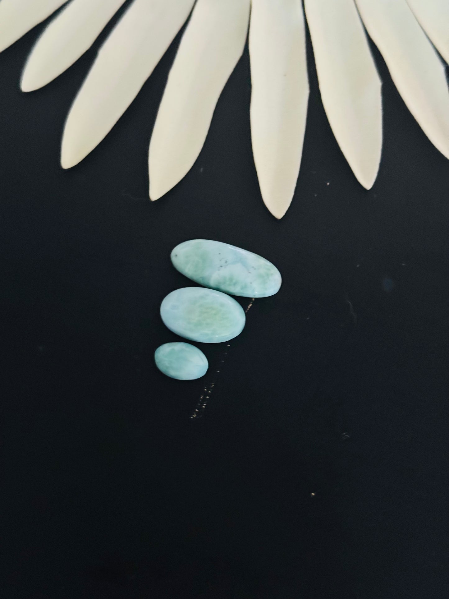 Larimar Cabs