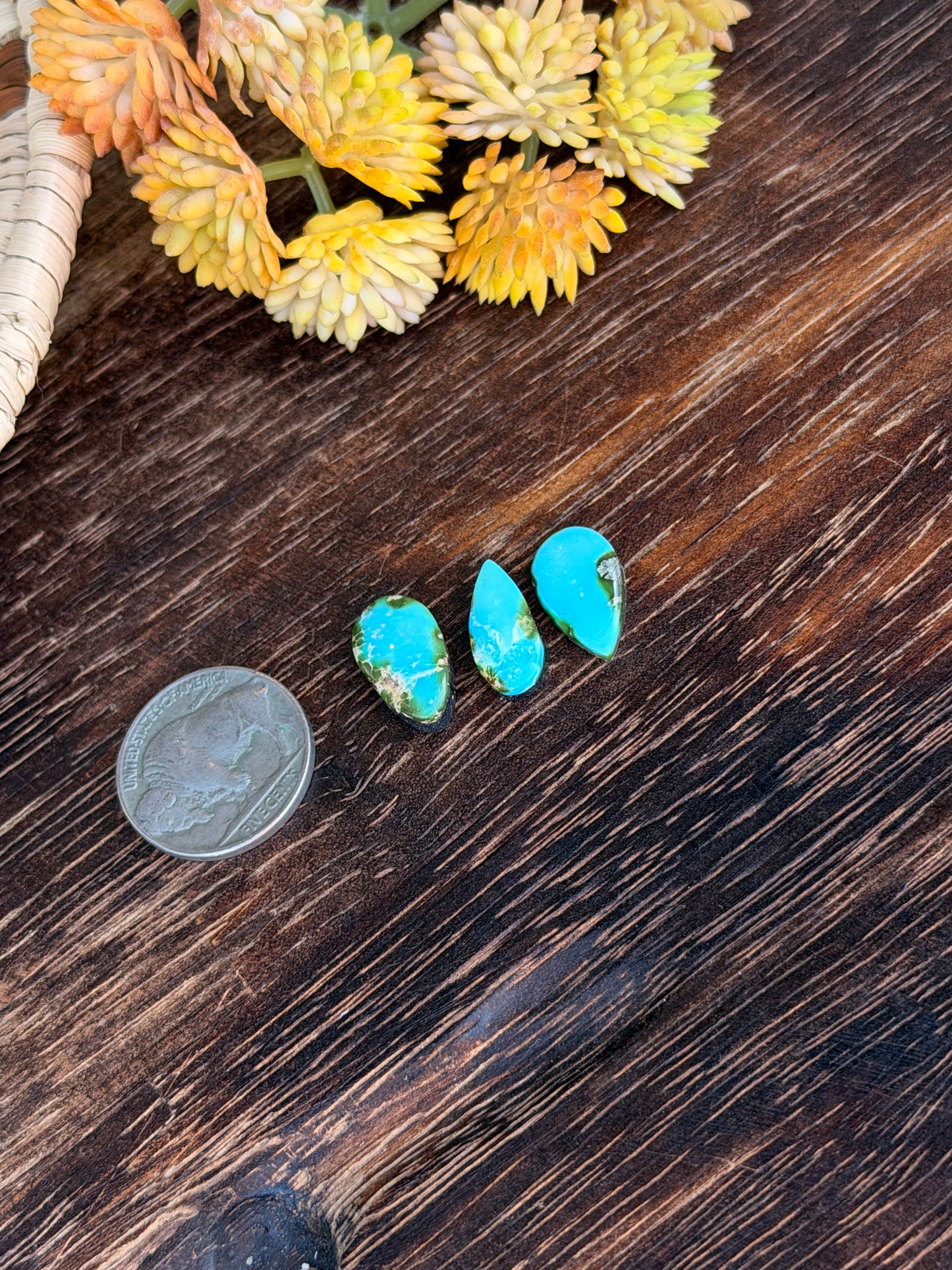Sonoran Mountain Turquoise Cabs