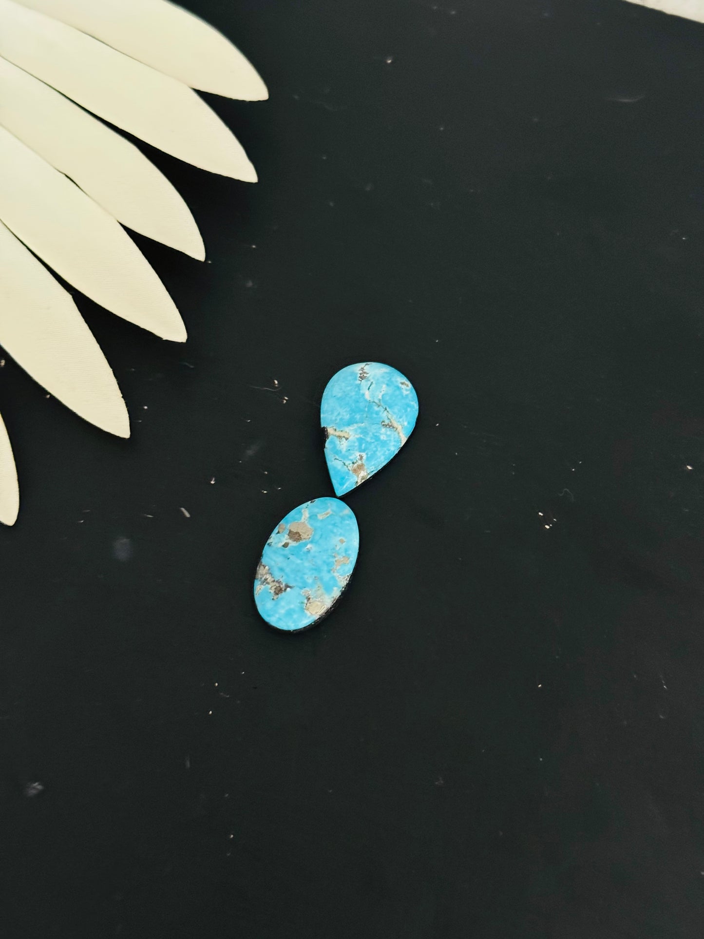 Blue Bird Turquoise Cabs