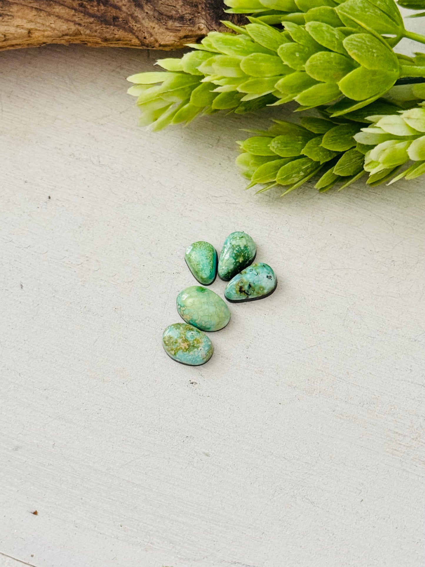 Natural Sonoran Gold Turquoise Cabs