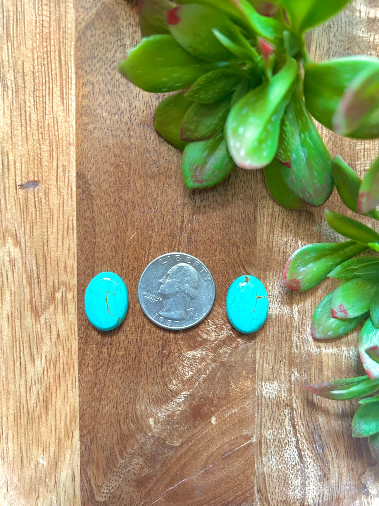 Kingman Turquoise Cabs