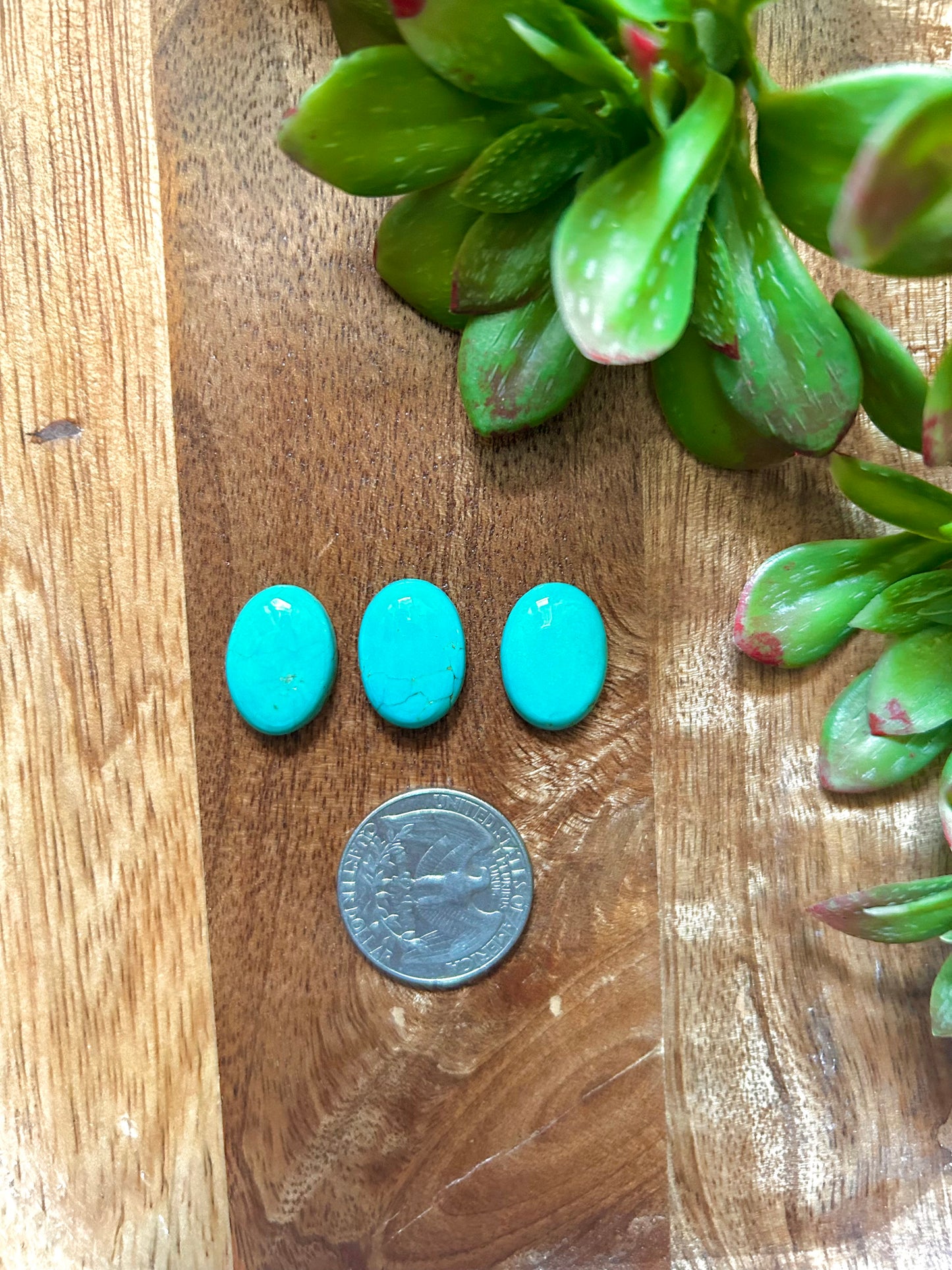 Kingman Turquoise Cabs