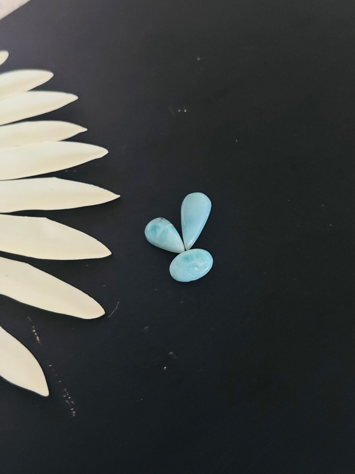 Larimar Cabs