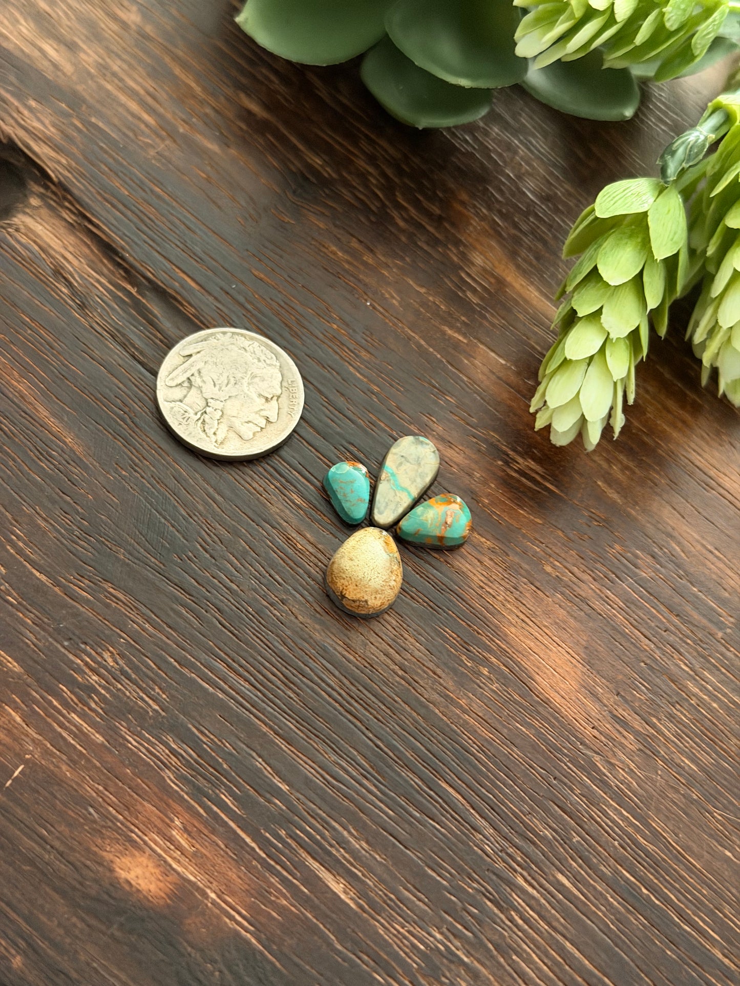 Evans Turquoise Cabs