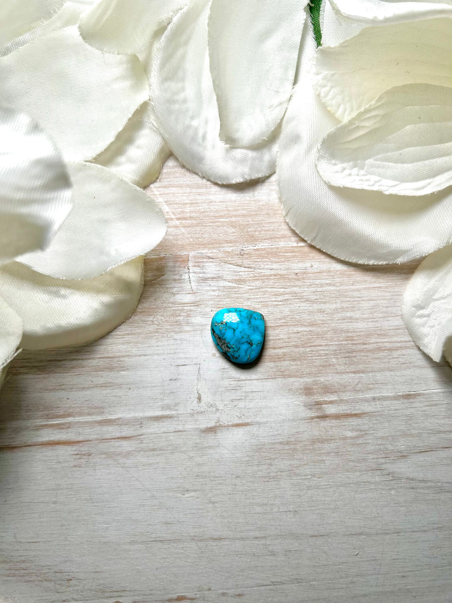 Blue Ridge Turquoise Cab
