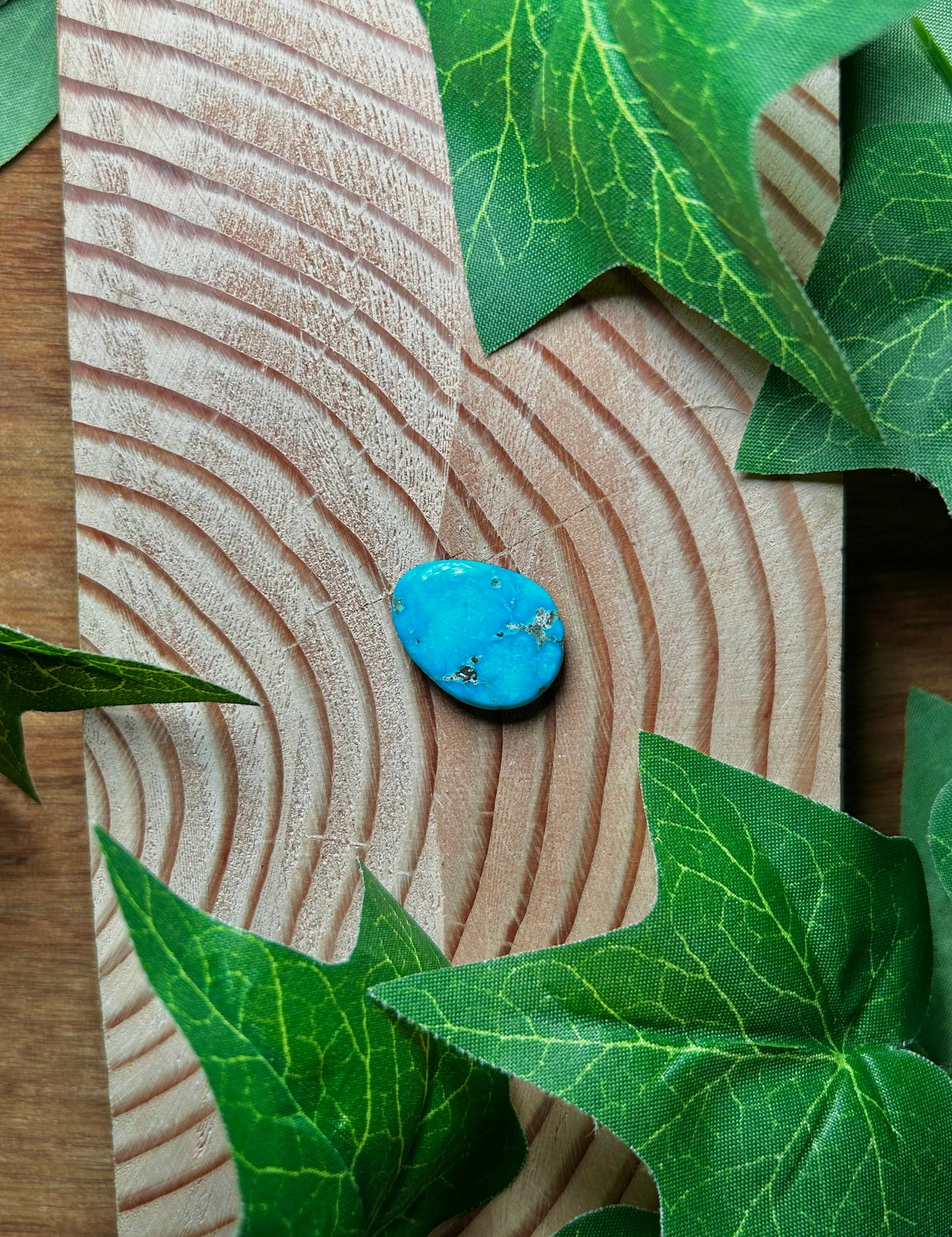 Blue Bird Turquoise Cabs