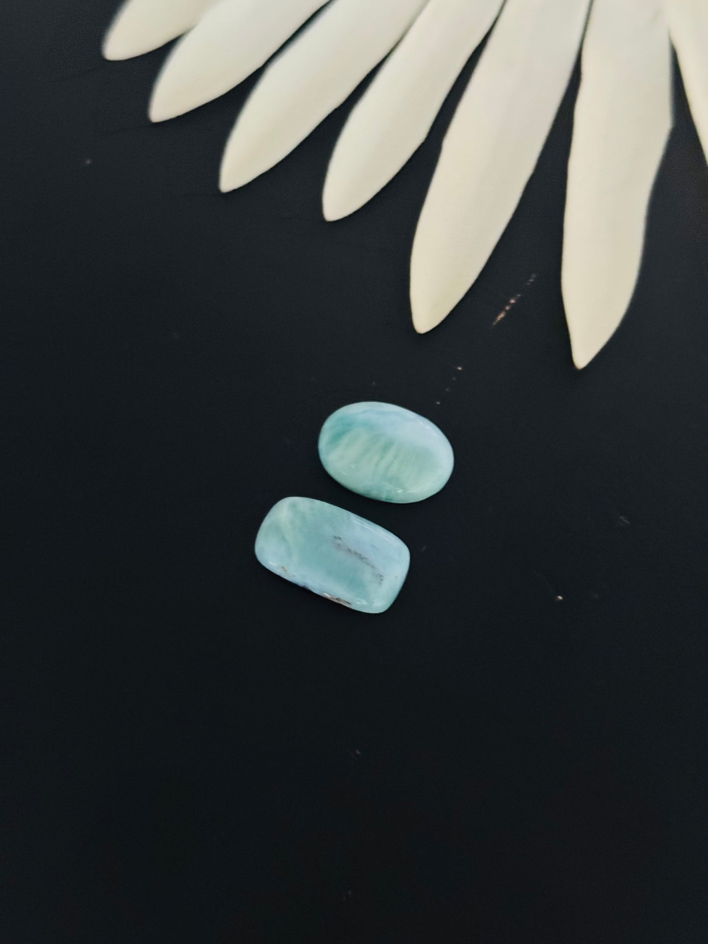 Larimar Cabs