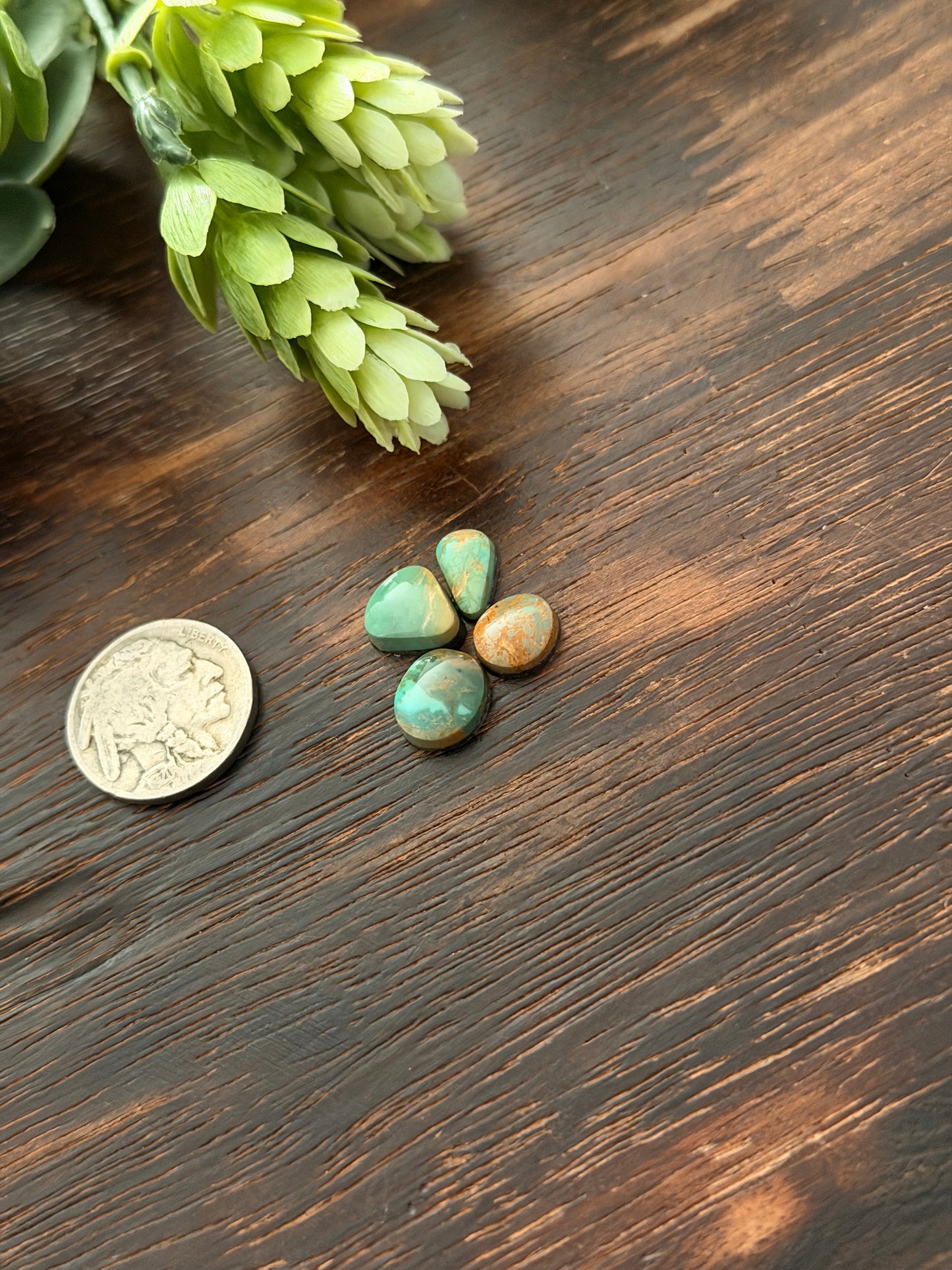 Evans Turquoise Cabs