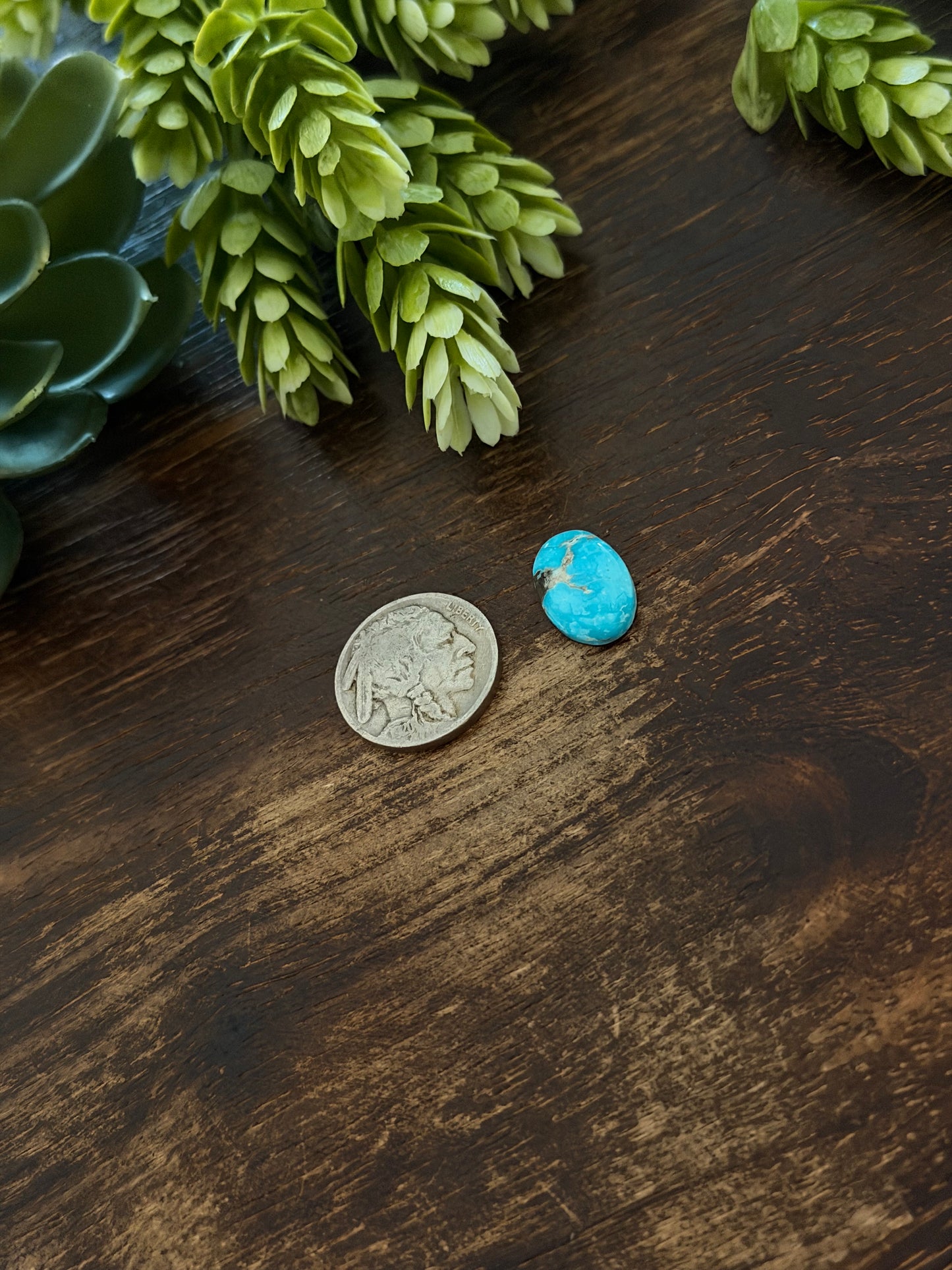 Blue Bird Turquoise Cab