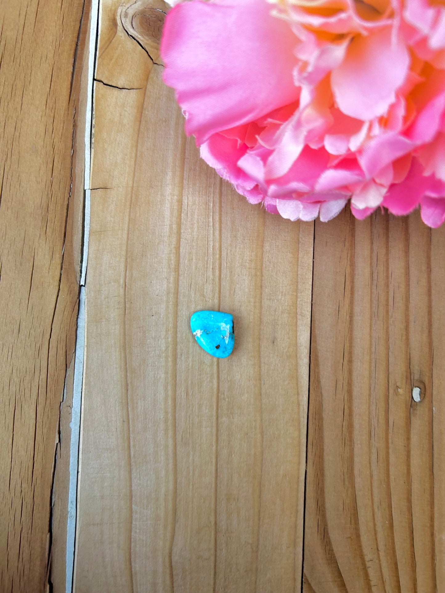 Blue Bird Turquoise Cabs