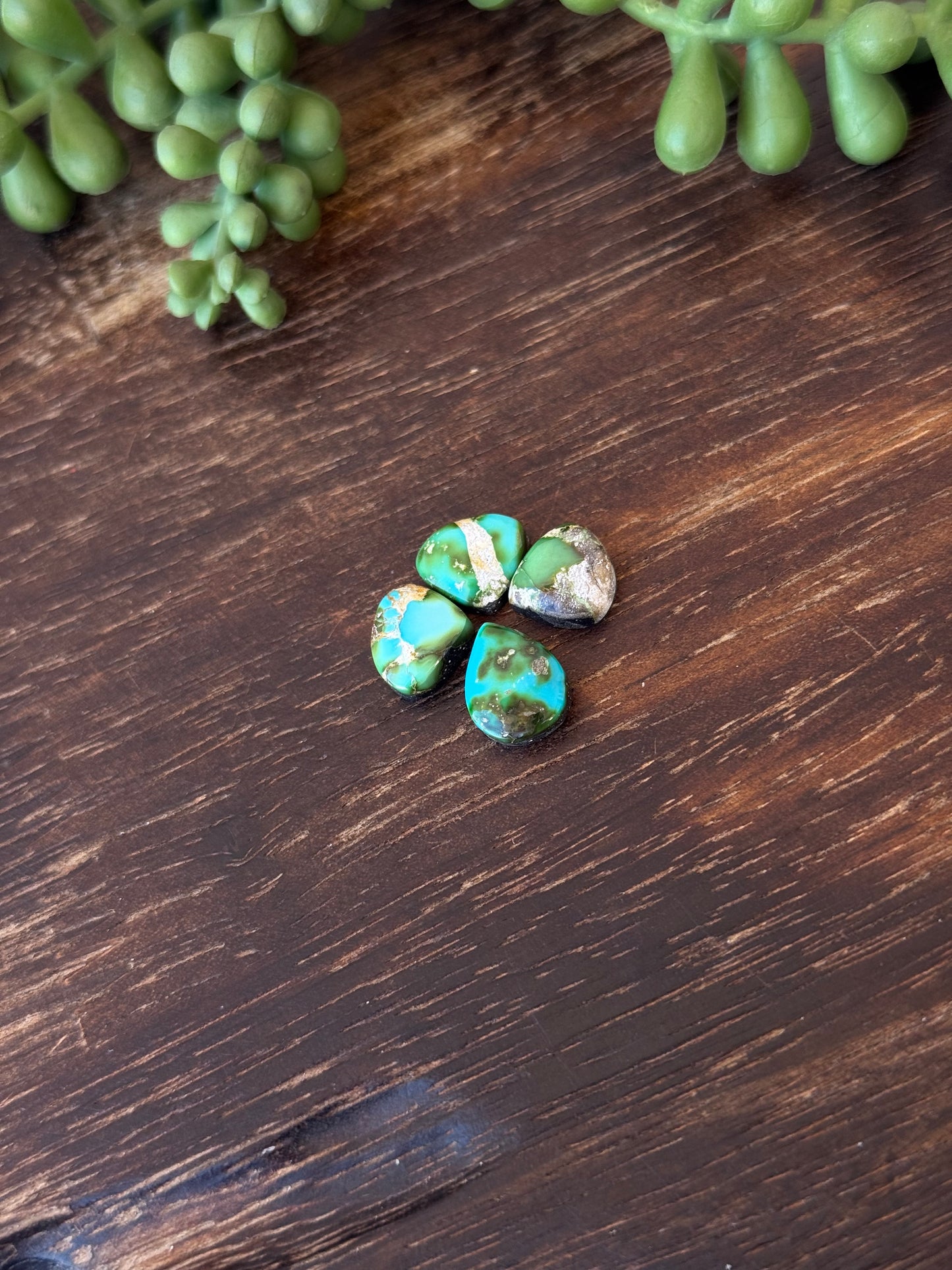 Sonoran Mountain Turquoise Cabs