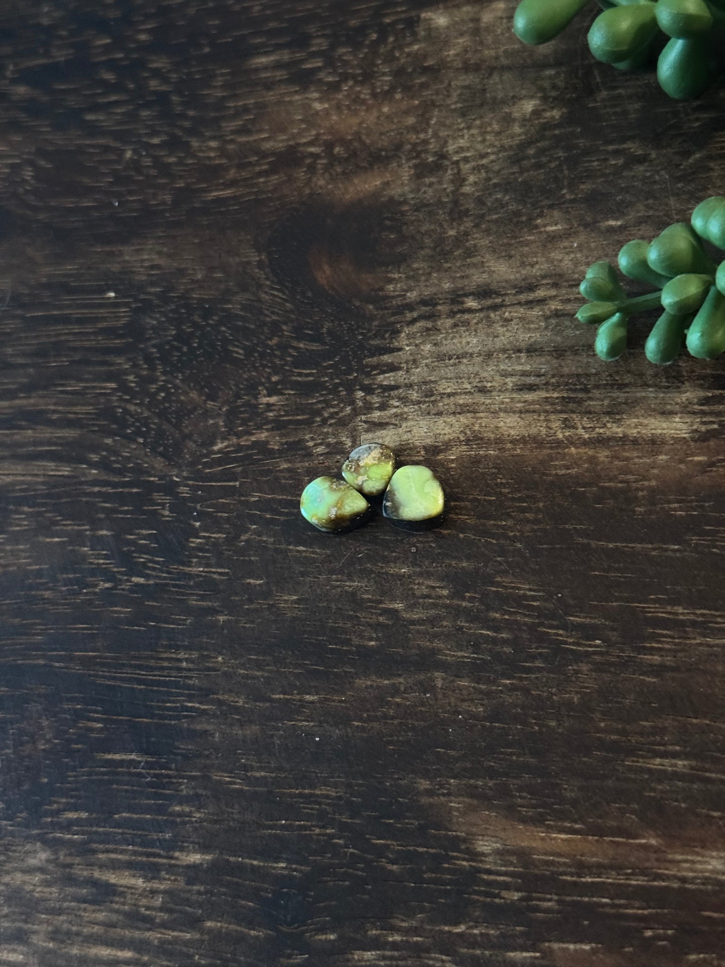 Palomino Variscite Cabs