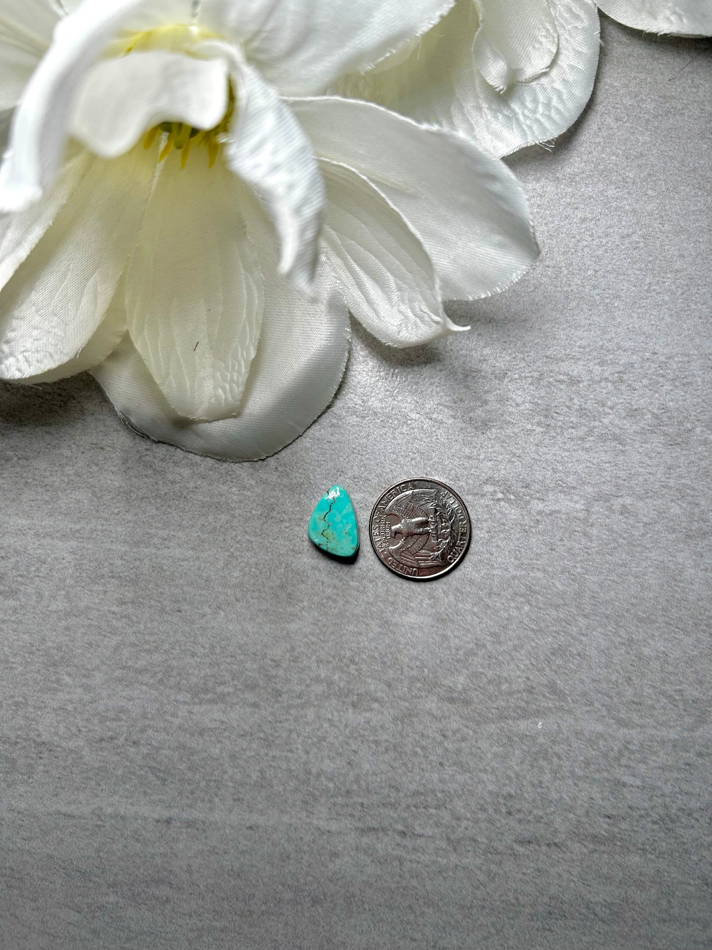 Kingman Turquoise Cab