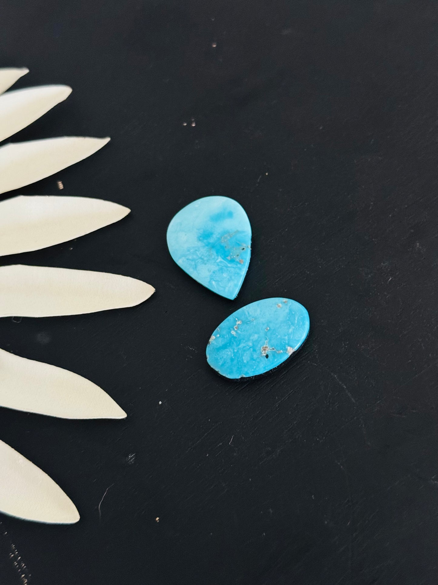 Blue Bird Turquoise Cabs