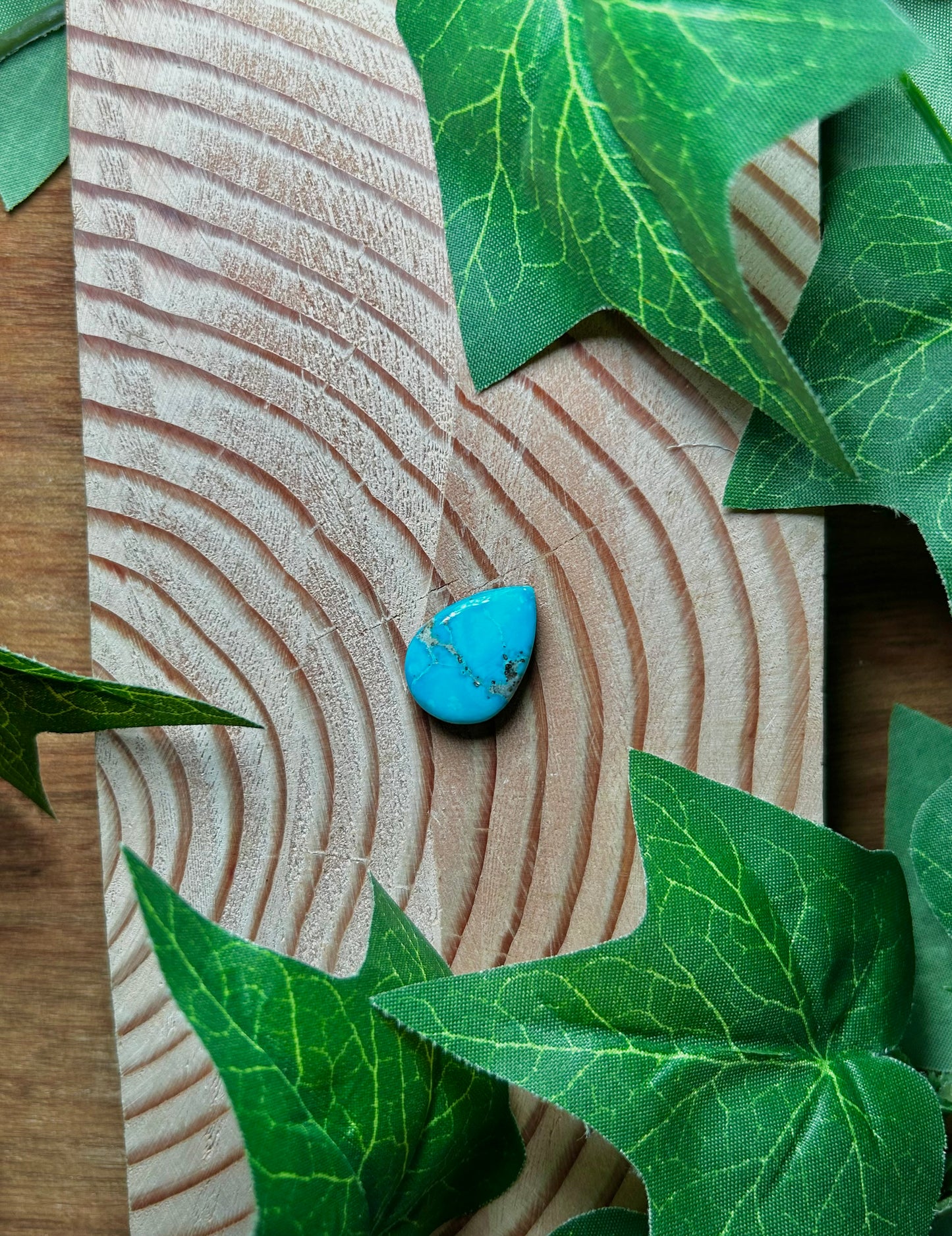 Blue Bird Turquoise Cabs