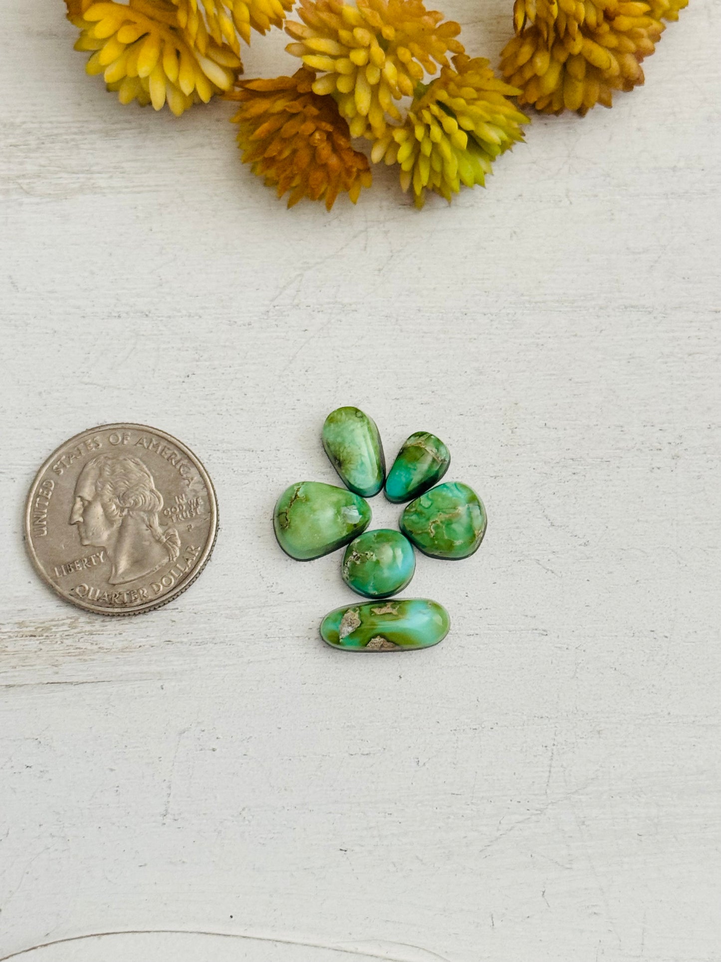 Natural Sonoran Gold Turquoise Cabs