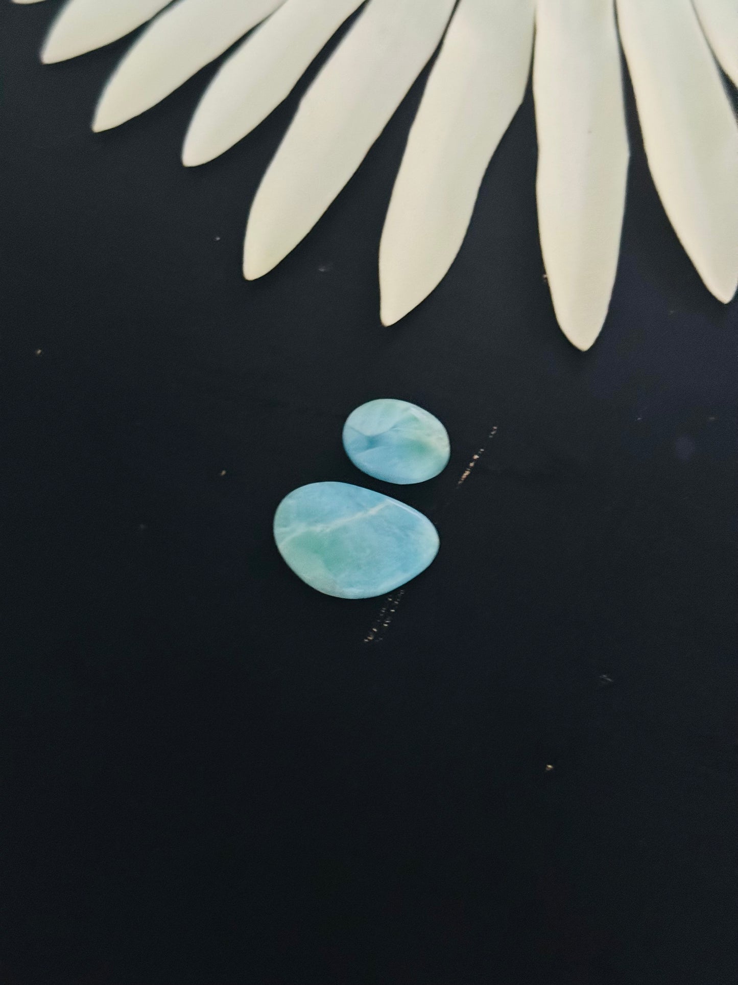 Larimar Cabs