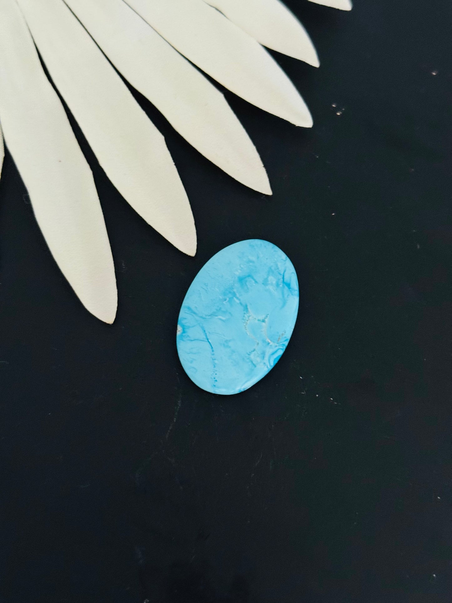 Blue Bird Turquoise Cabs