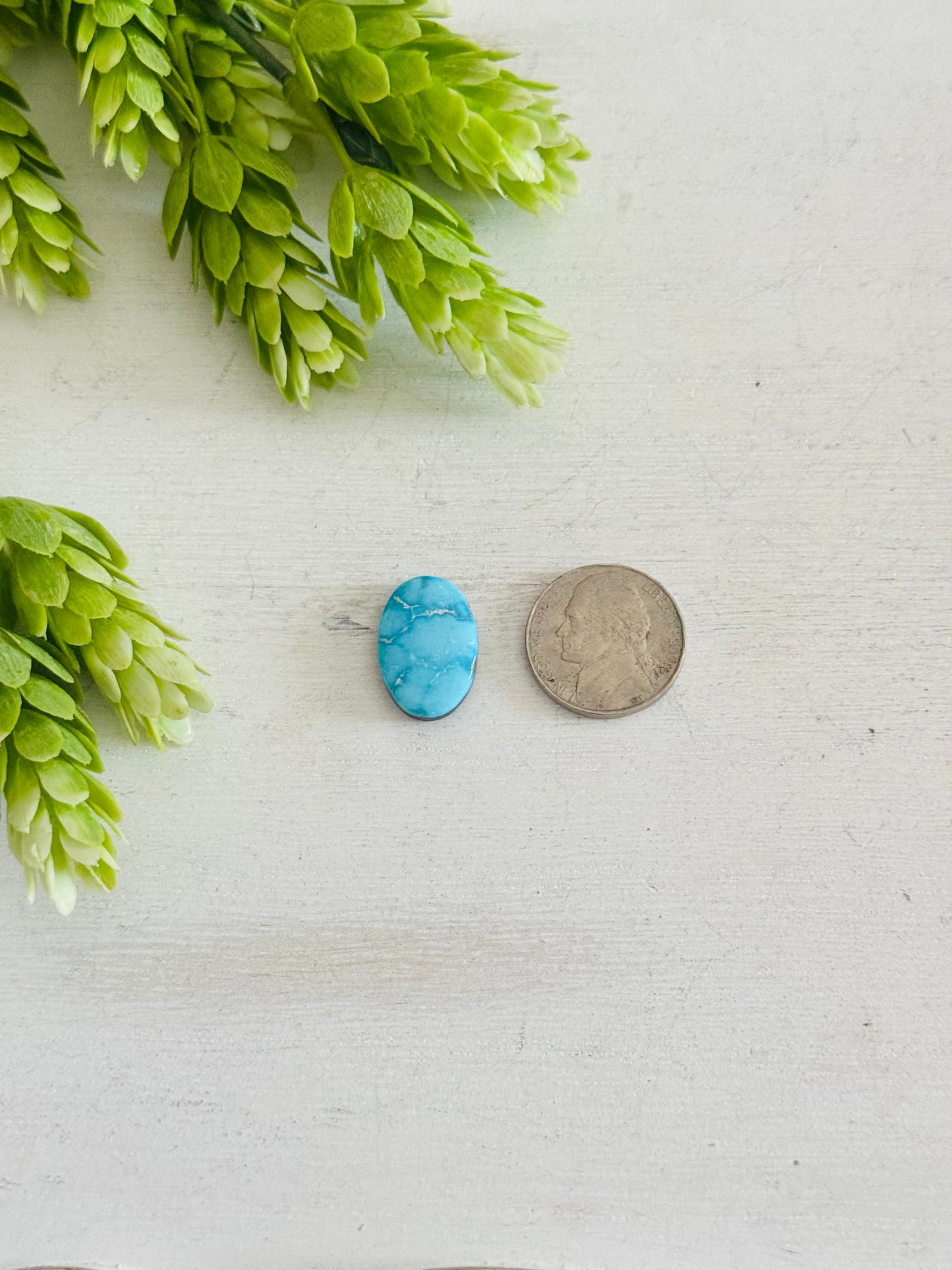 Blue Bird Turquoise Cab