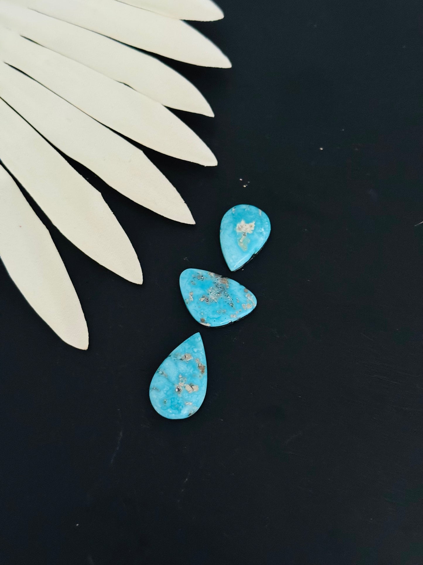 Blue Bird Turquoise Cabs